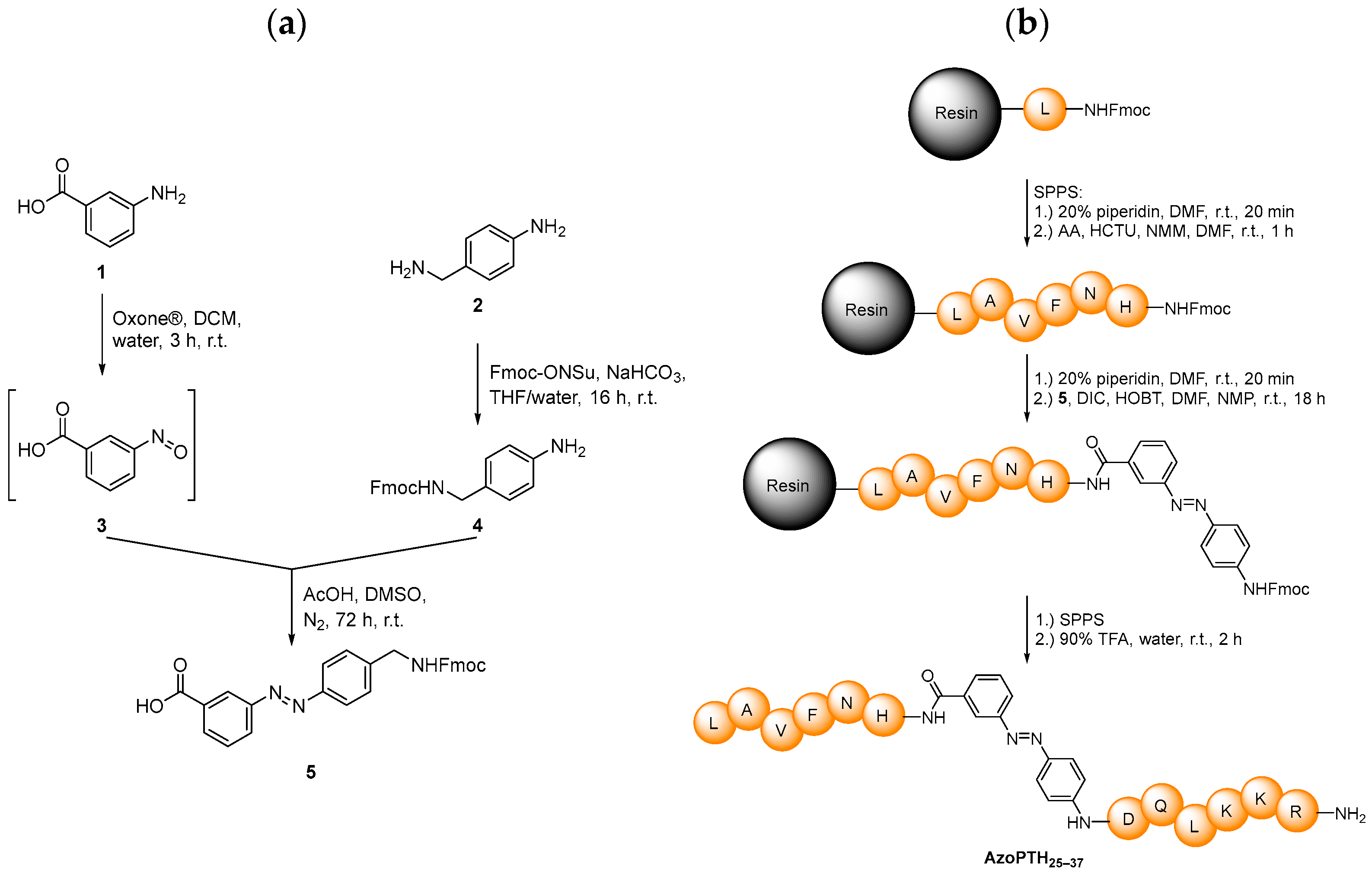 Biomedicines 10 01512 g002