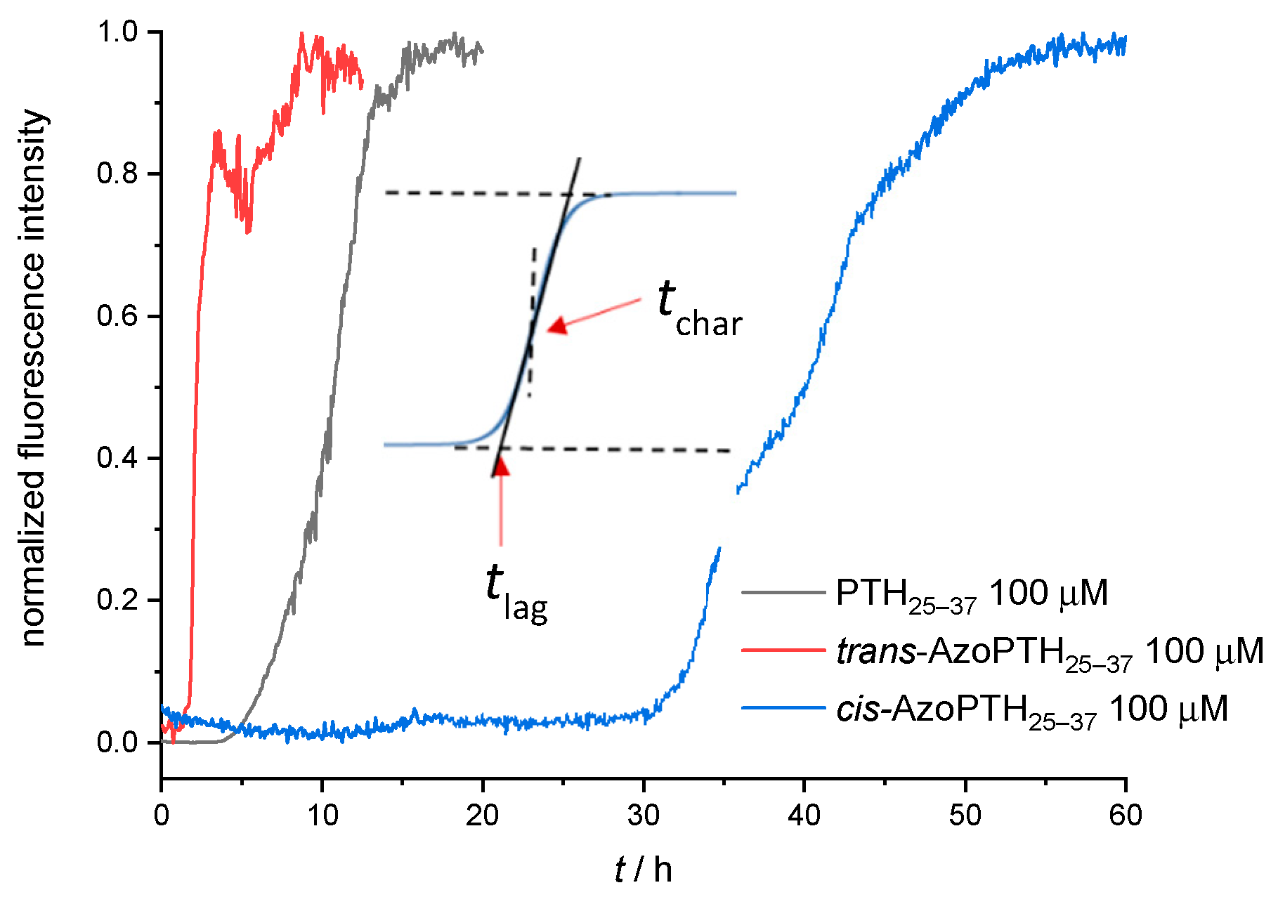 Biomedicines 10 01512 g004