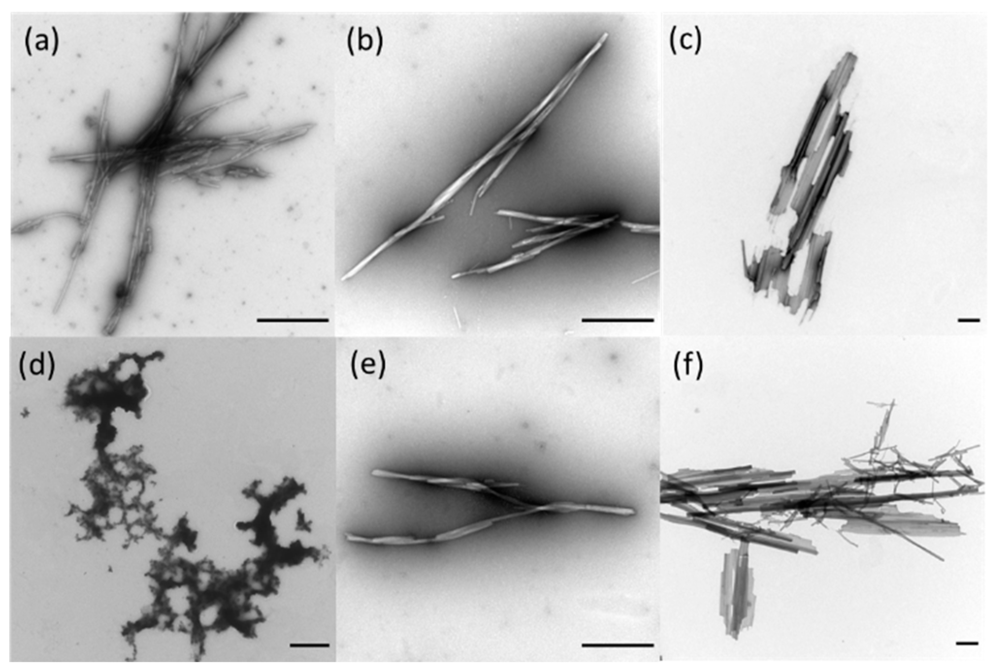 Biomedicines 10 01512 g007
