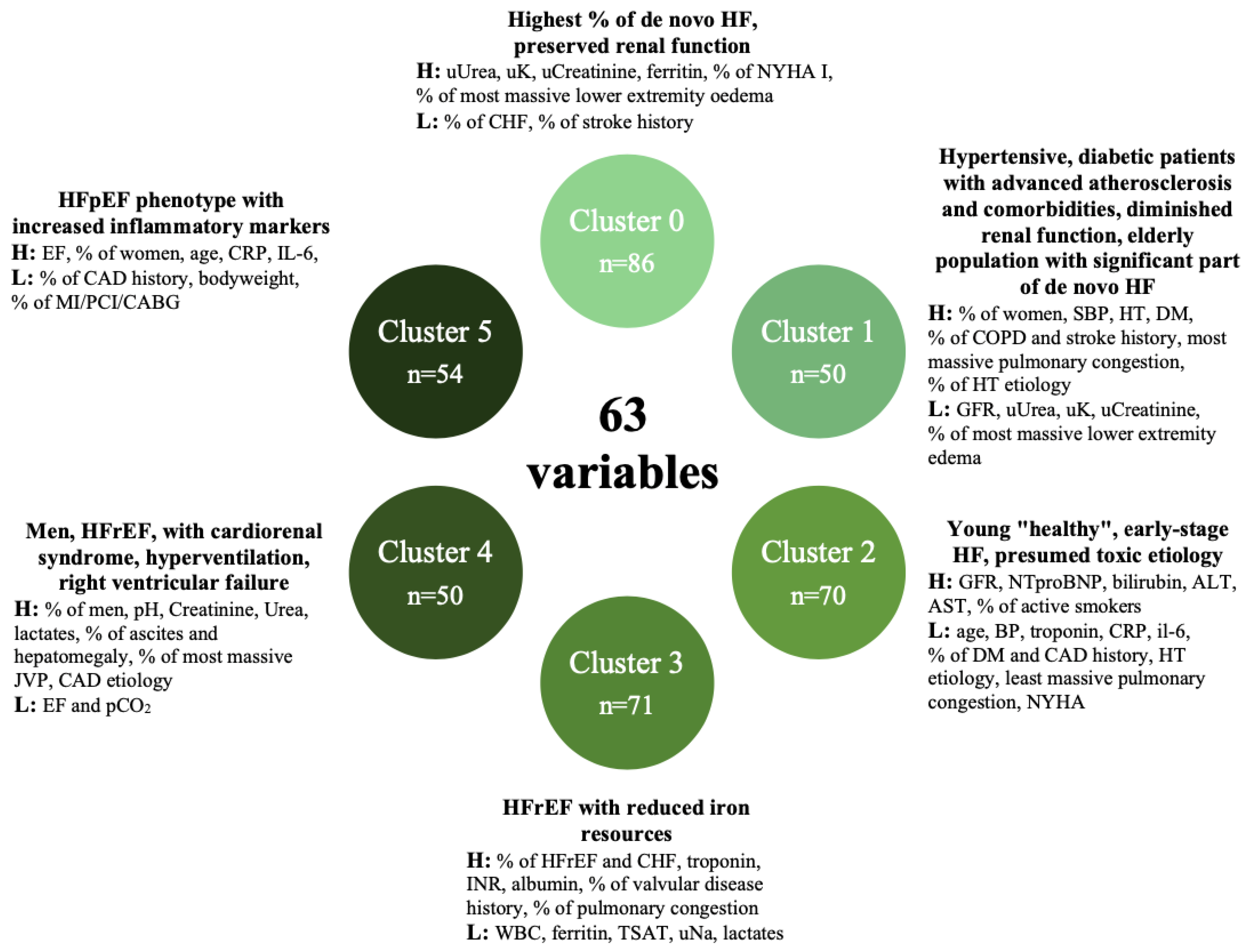 Biomedicines 10 01514 g002 550