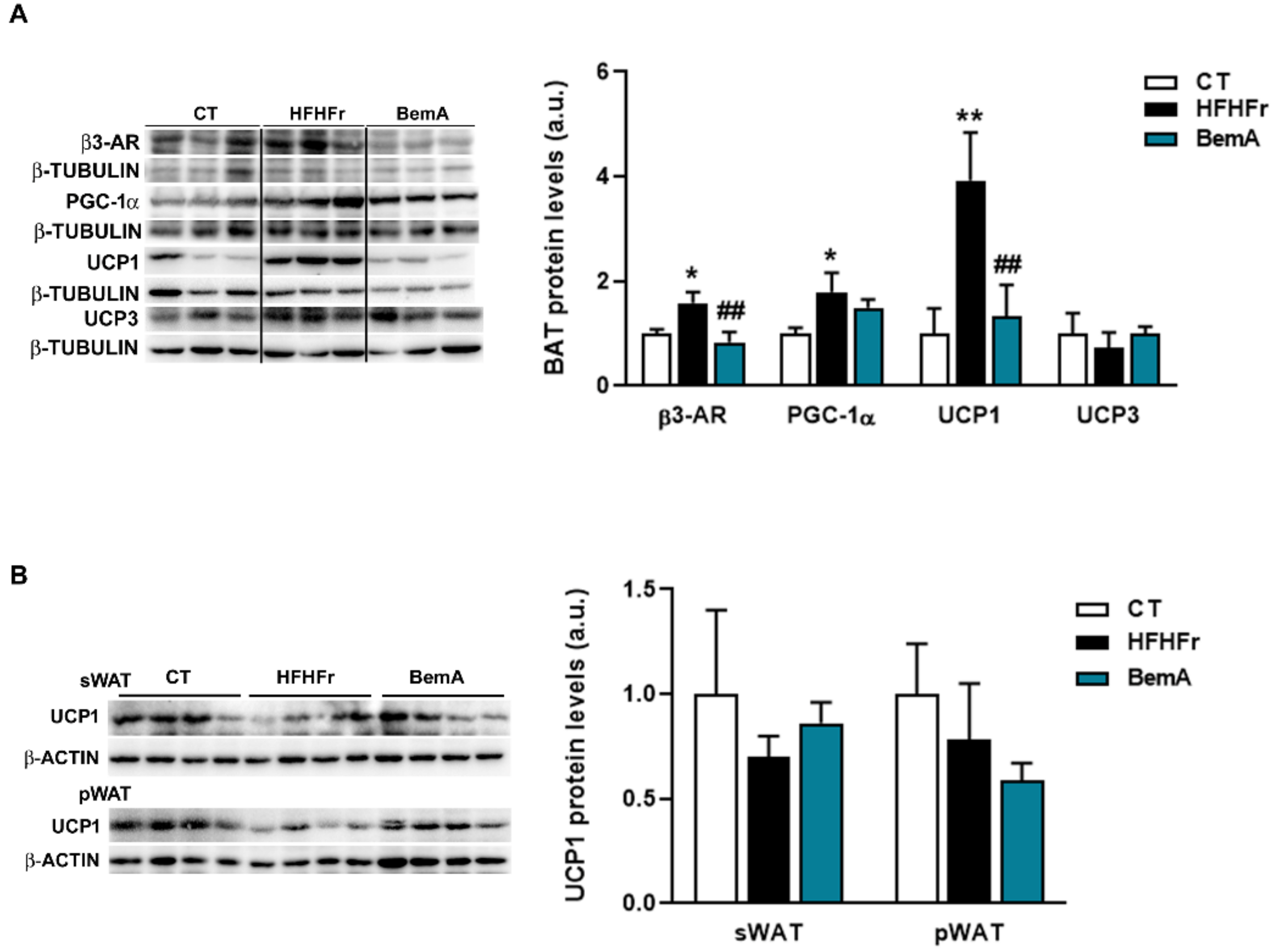 Biomedicines 10 01517 g001