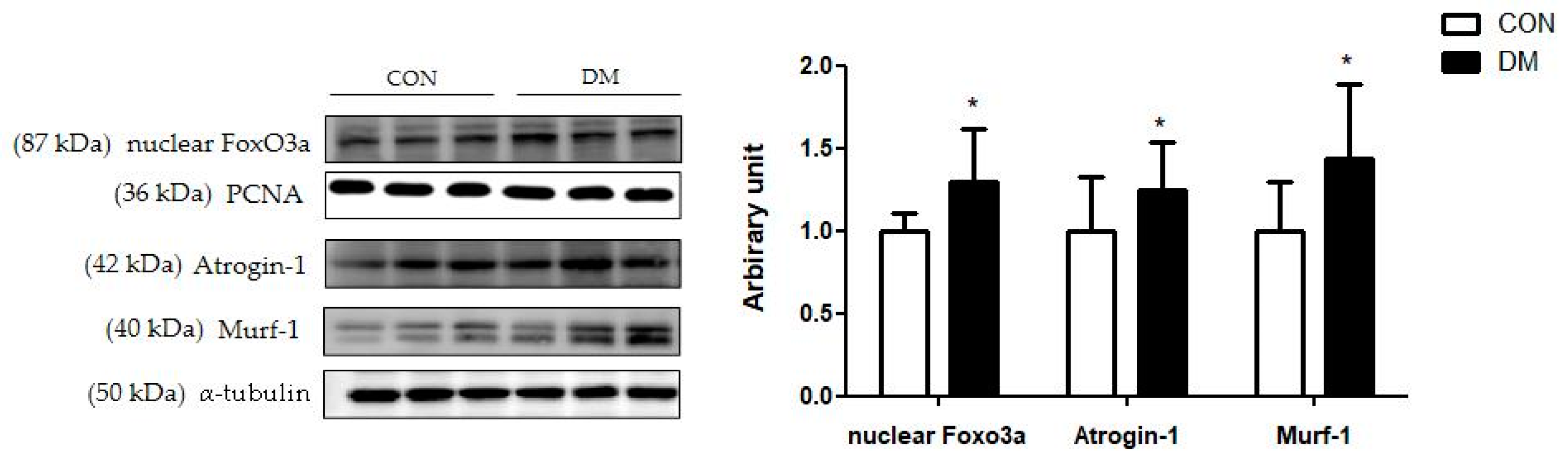Biomedicines 10 01521 g008