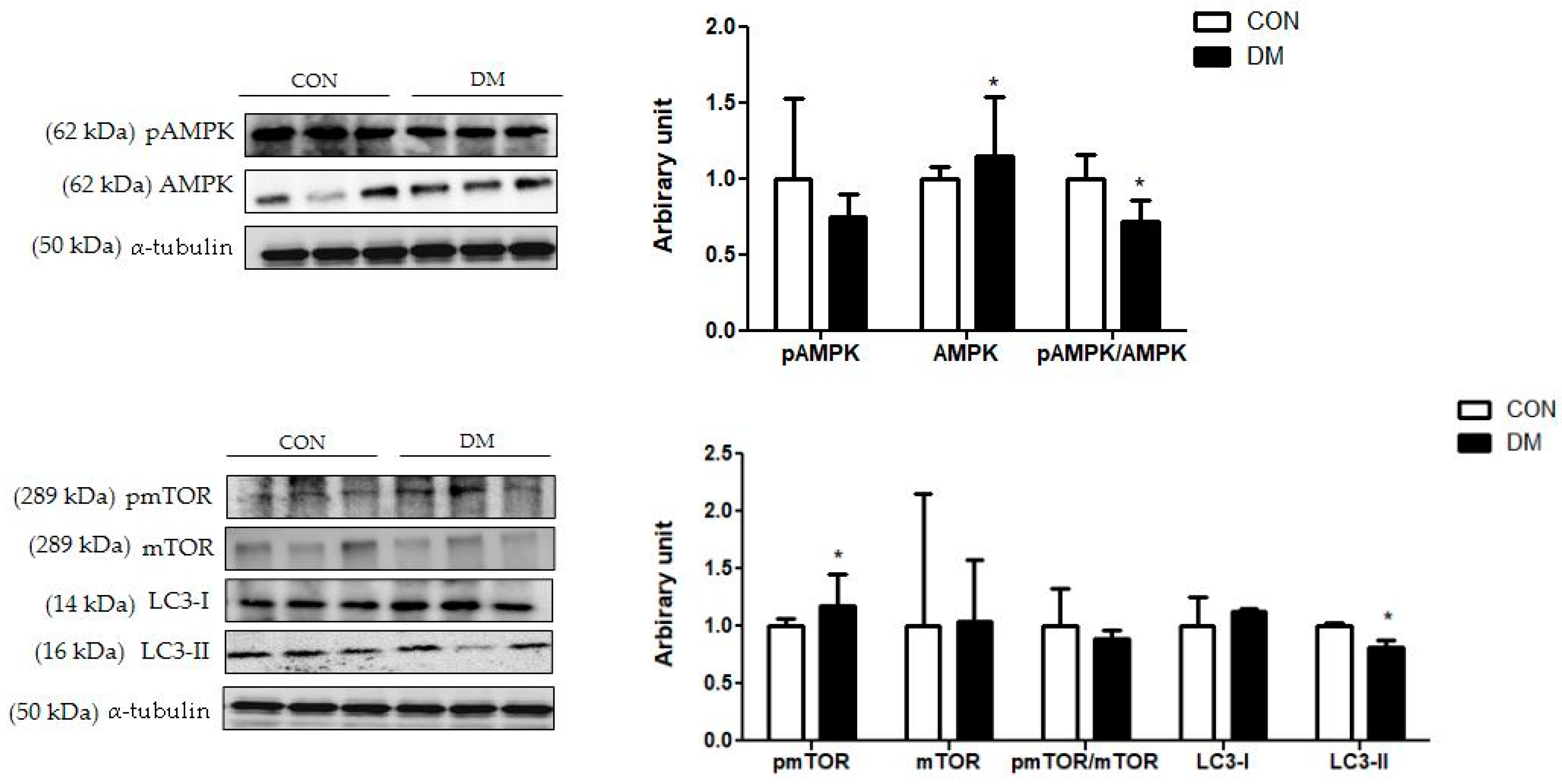 Biomedicines 10 01521 g009