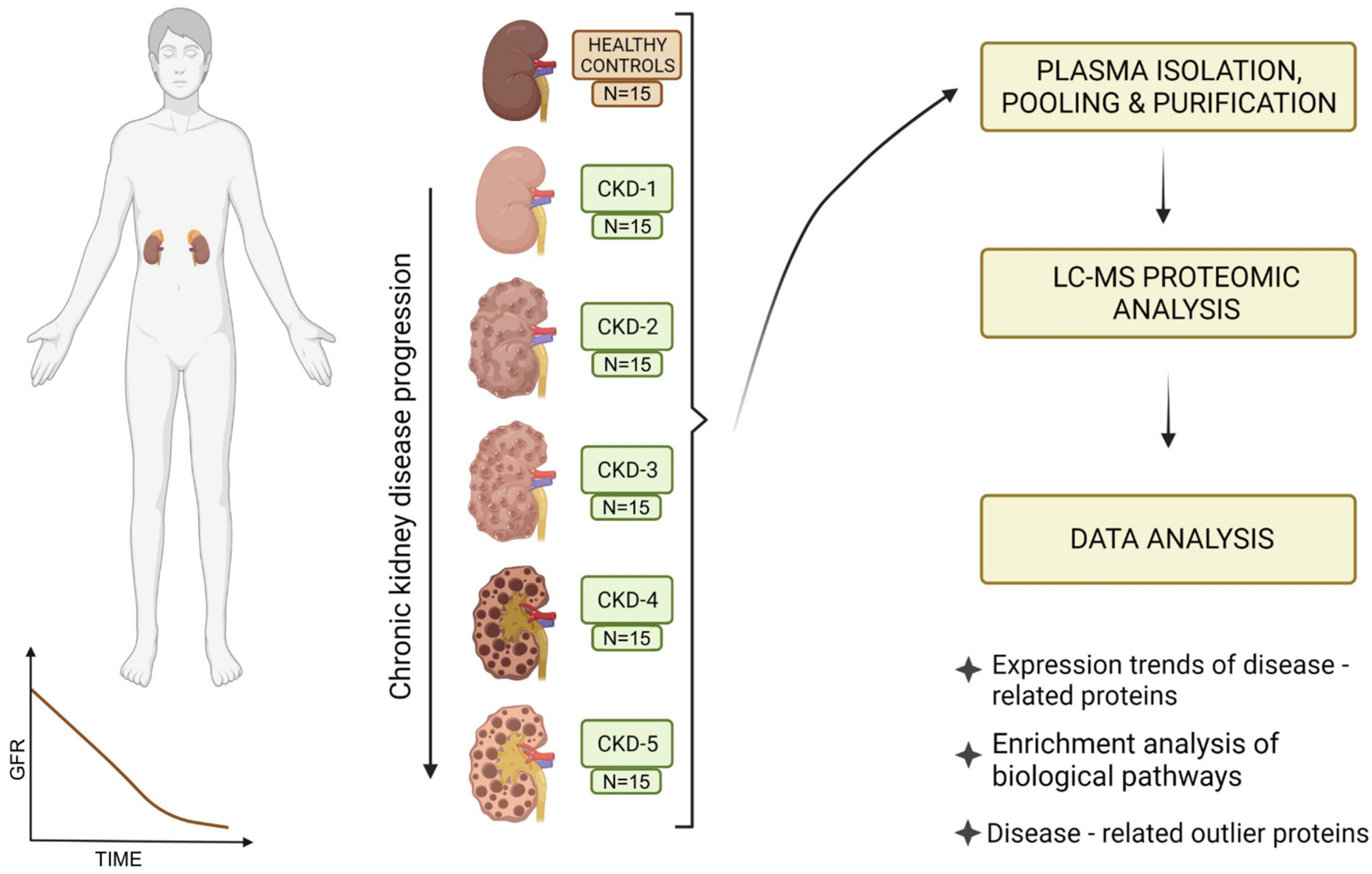 Stage 5 chronic kidney disease (CKD)