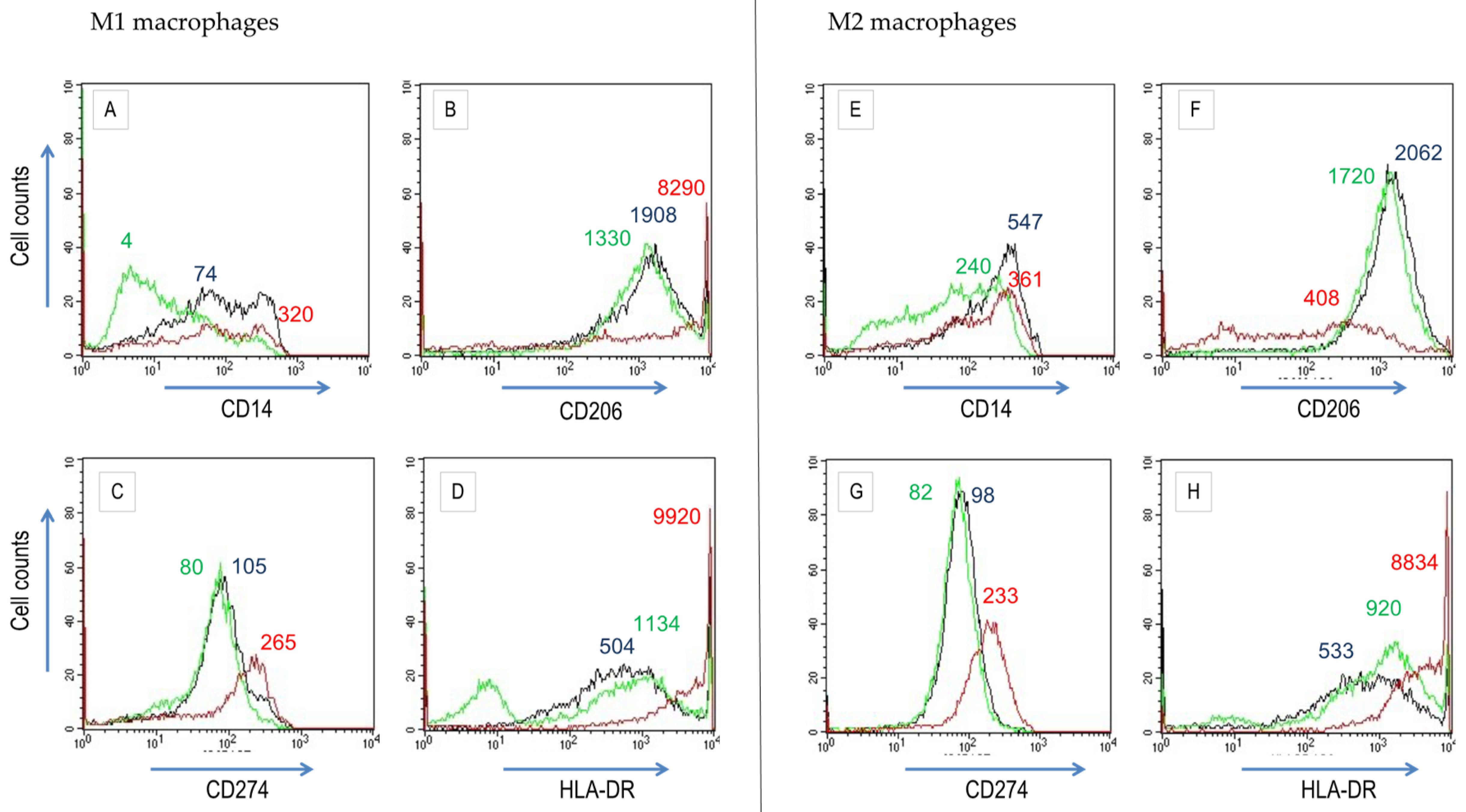 Biomedicines 10 01524 g004 550