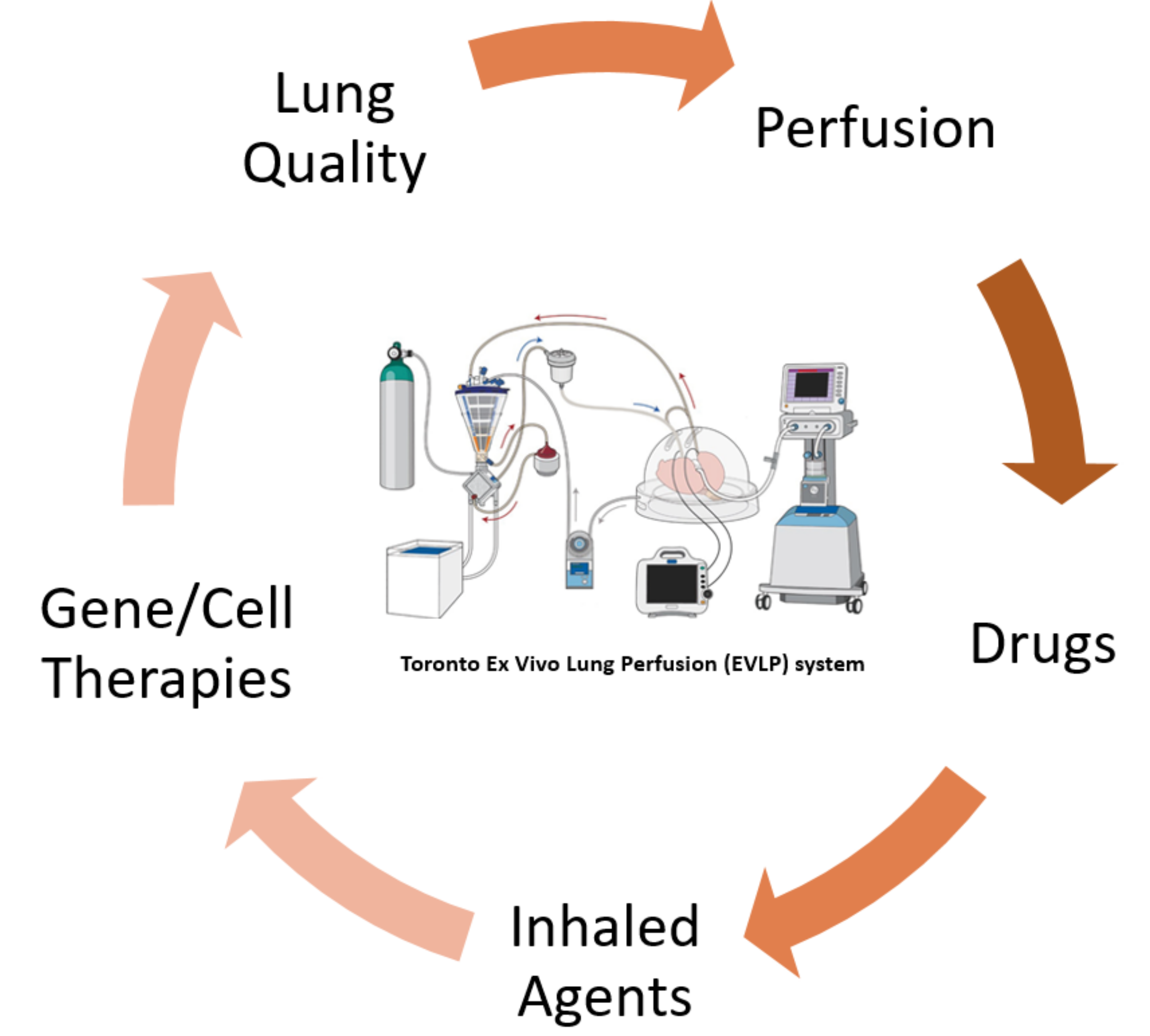 Biomedicines 10 01525 g004 Biomedicines 10 01525 g004