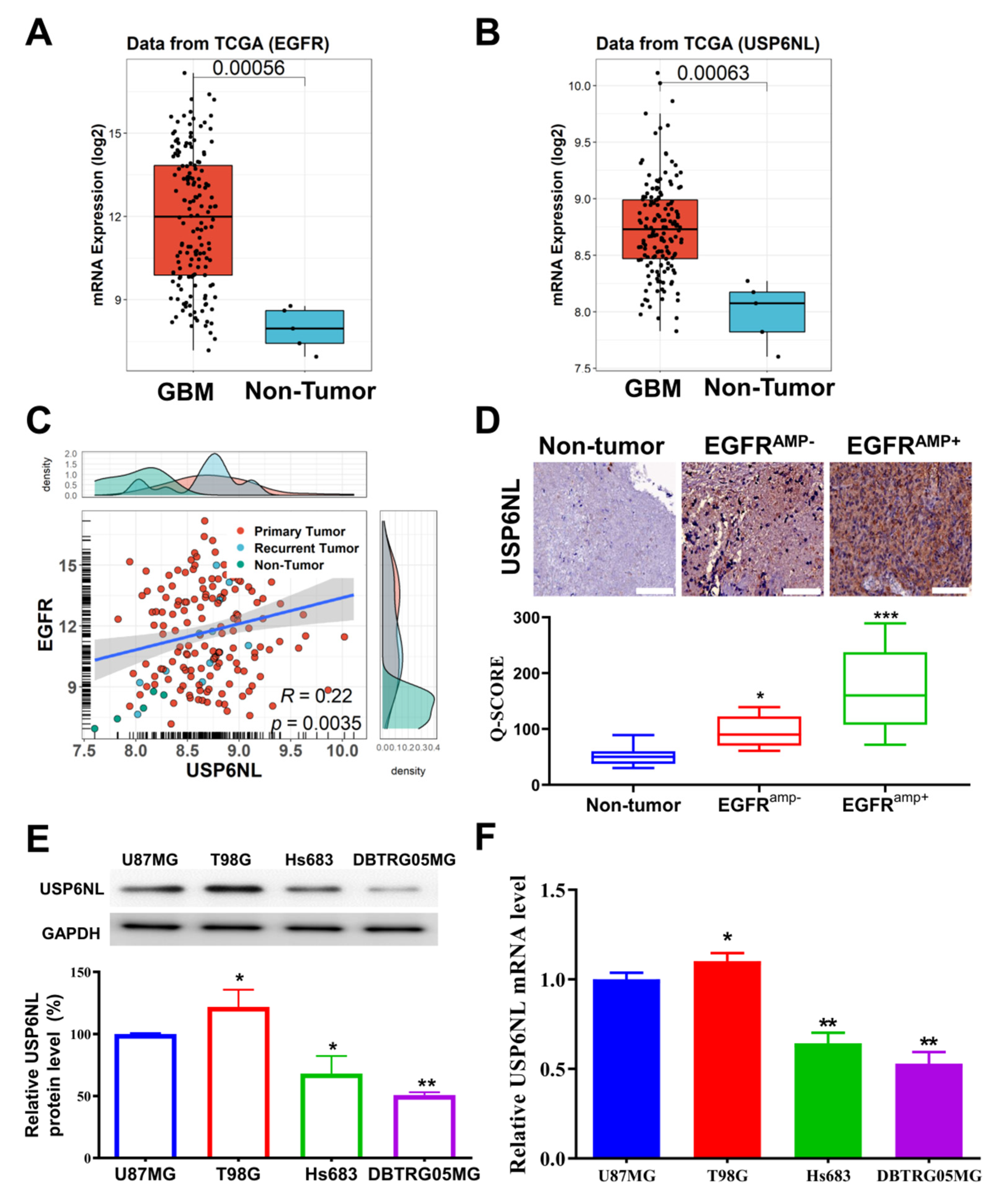 Biomedicines 10 01531 g001 550