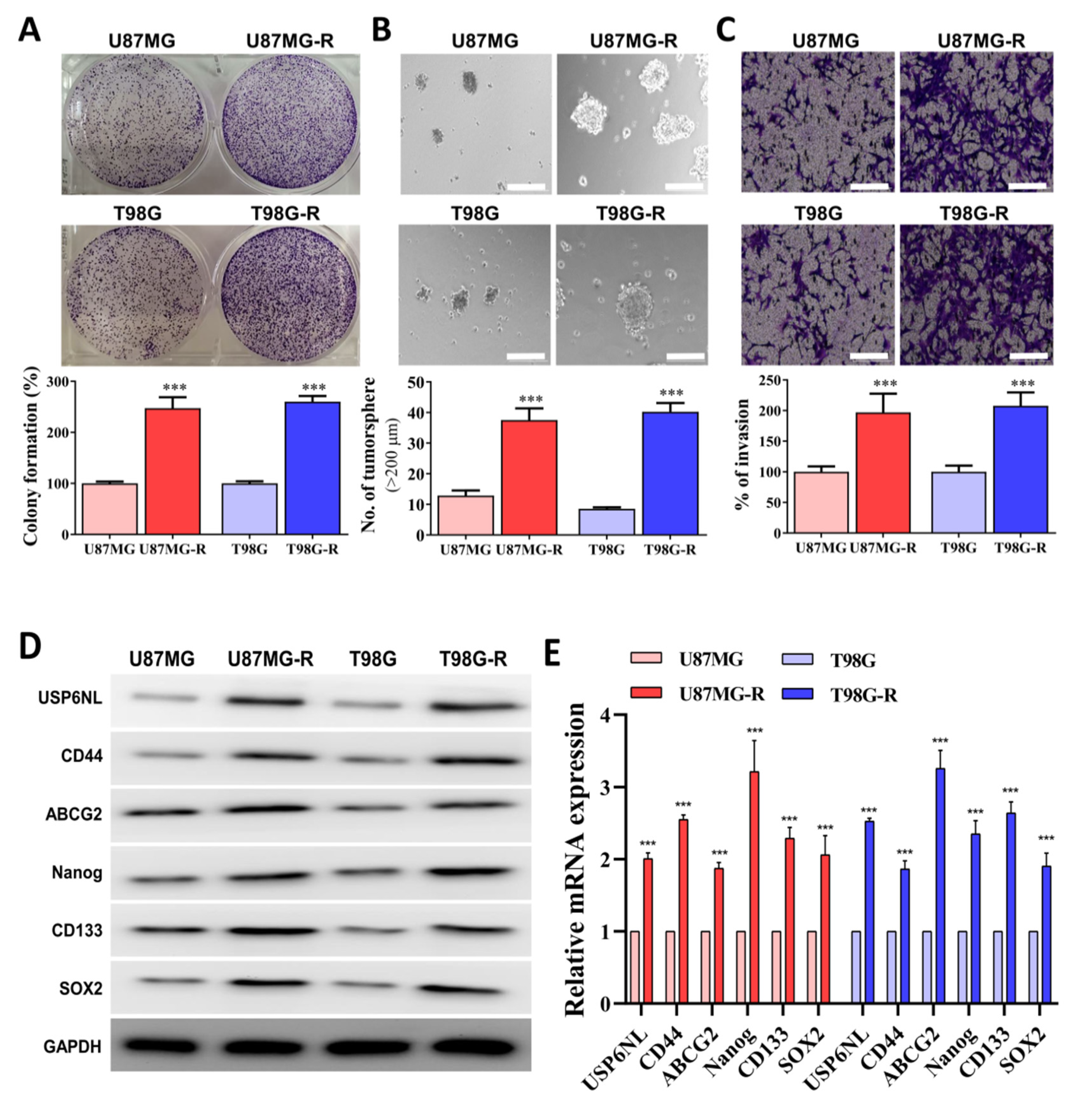 Biomedicines 10 01531 g003a 550