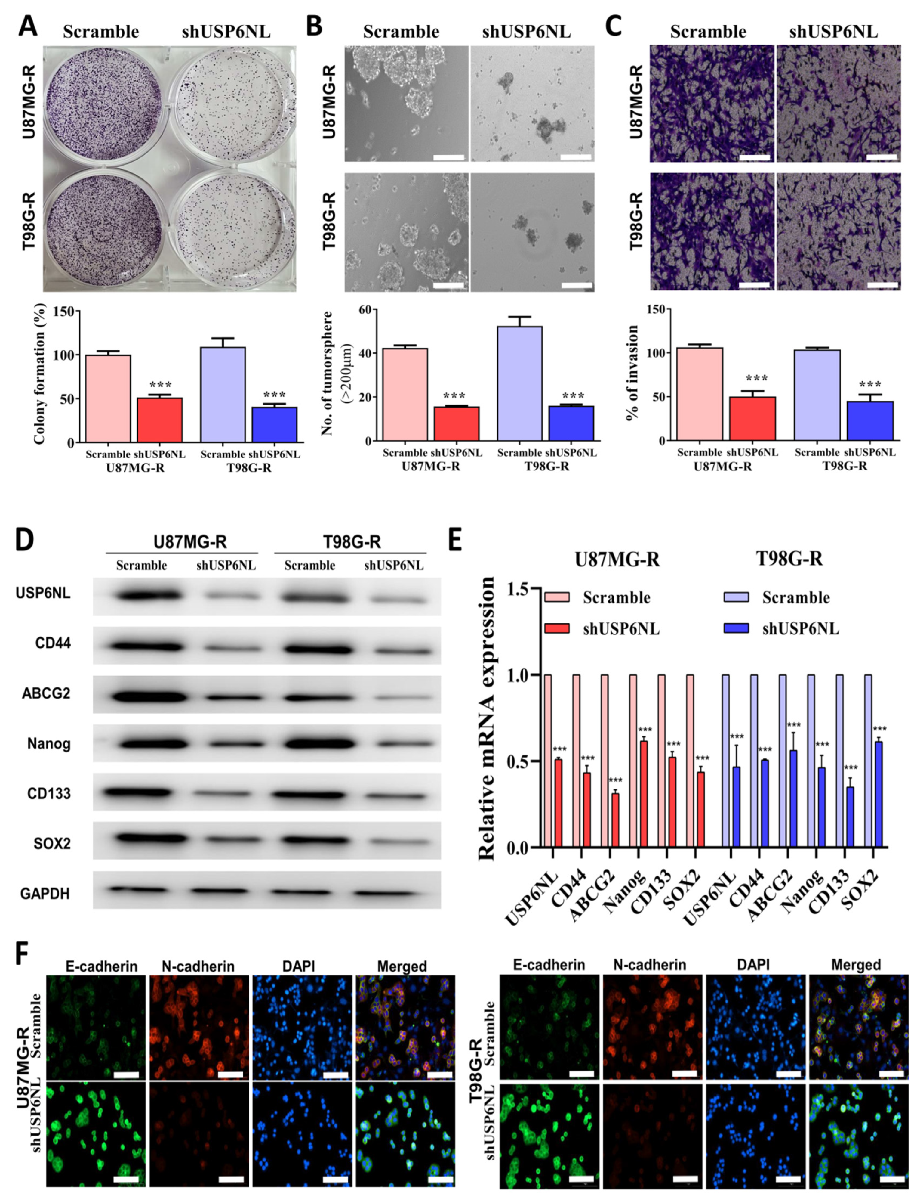 Biomedicines 10 01531 g004 550