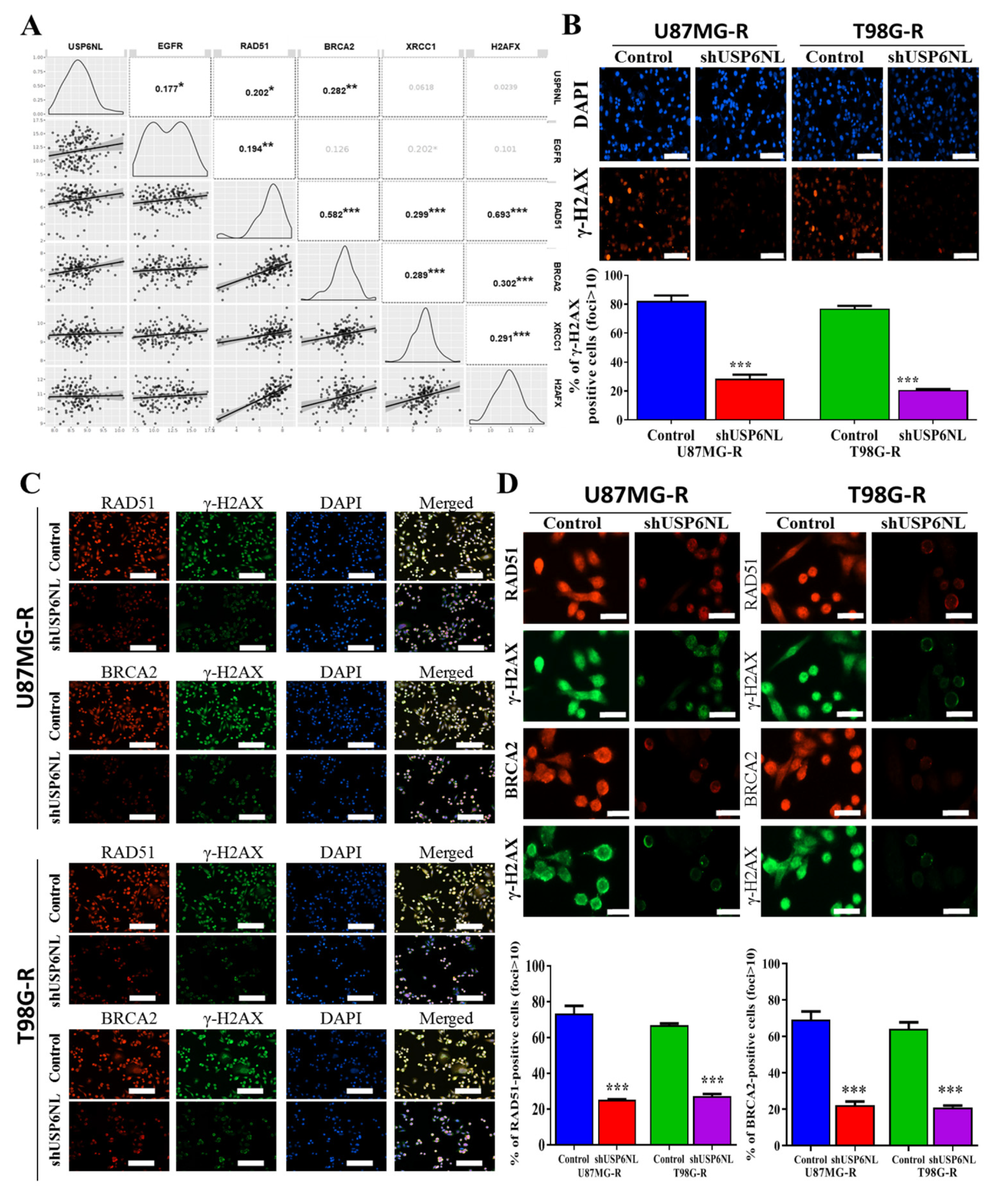 Biomedicines 10 01531 g005 550