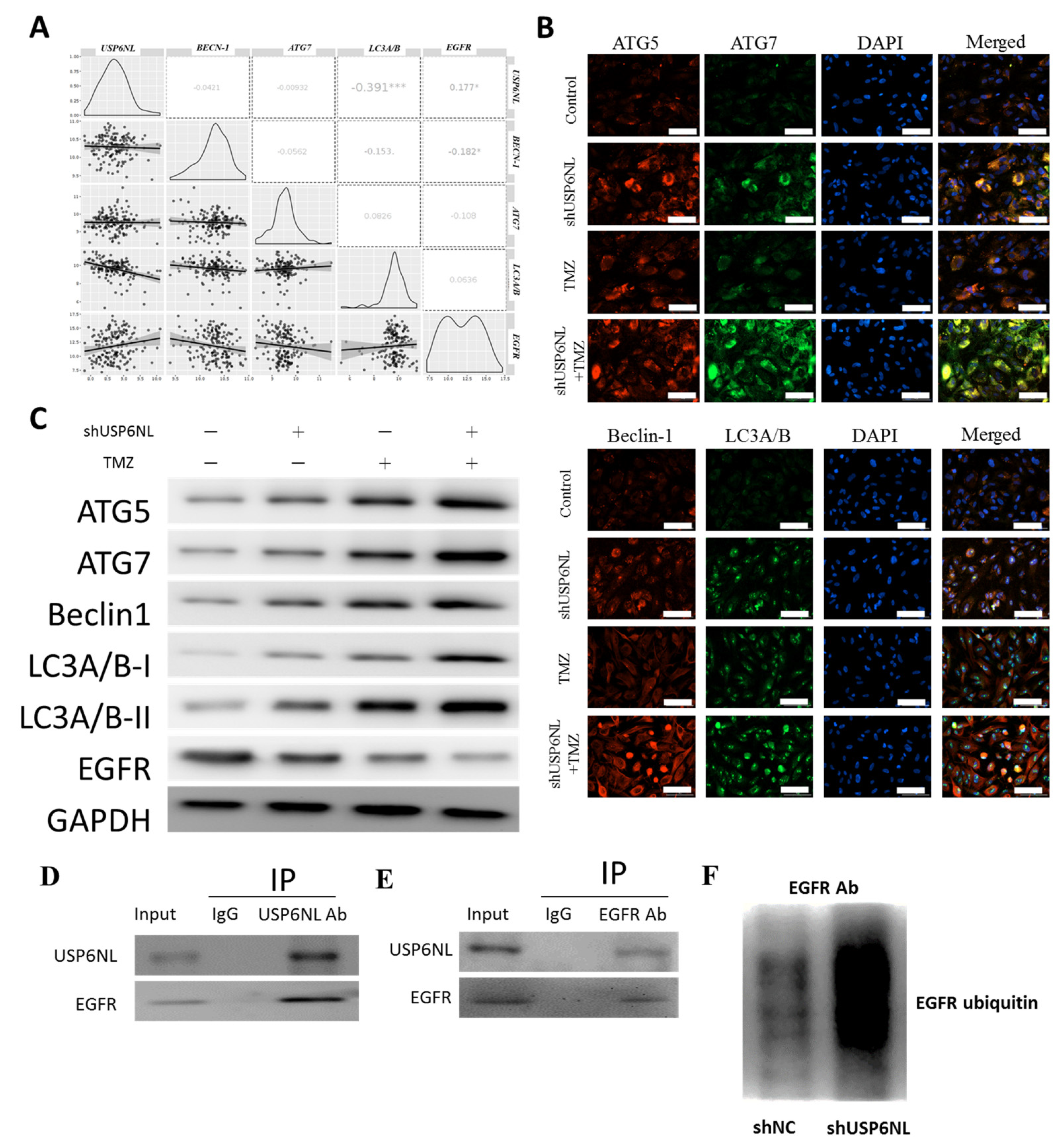 Biomedicines 10 01531 g006 550