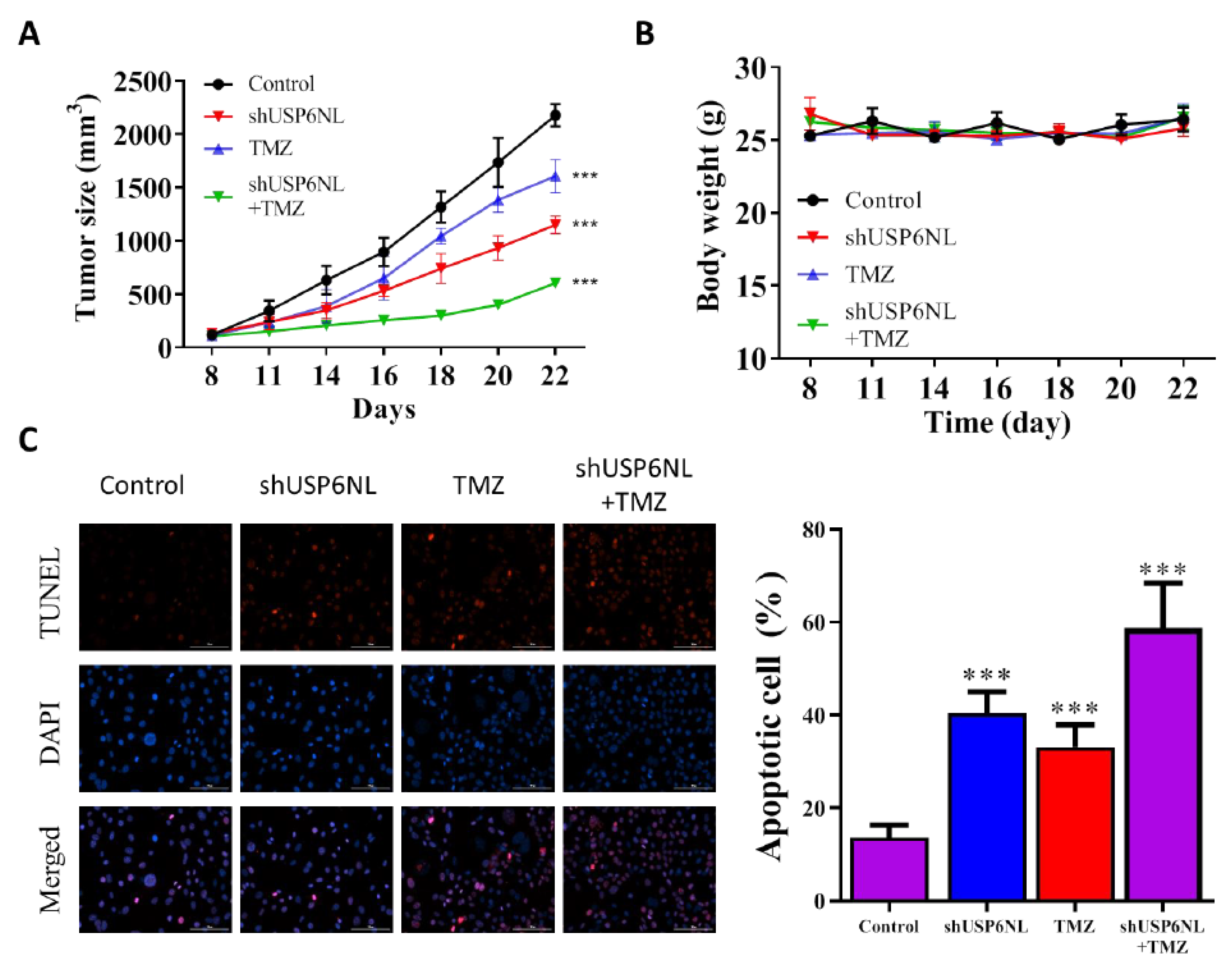 Biomedicines 10 01531 g007 550