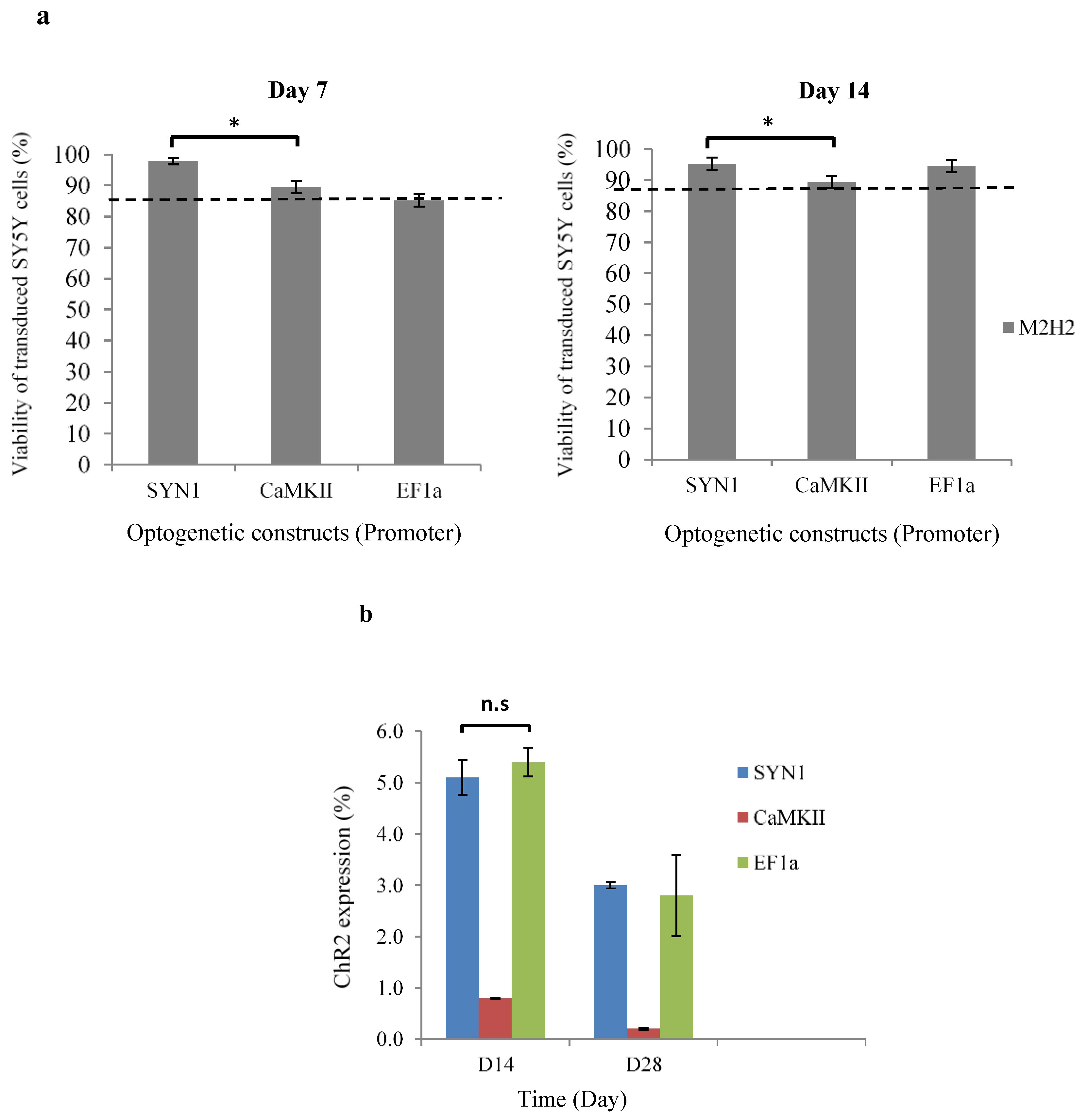 Biomedicines 10 01534 g002a 550