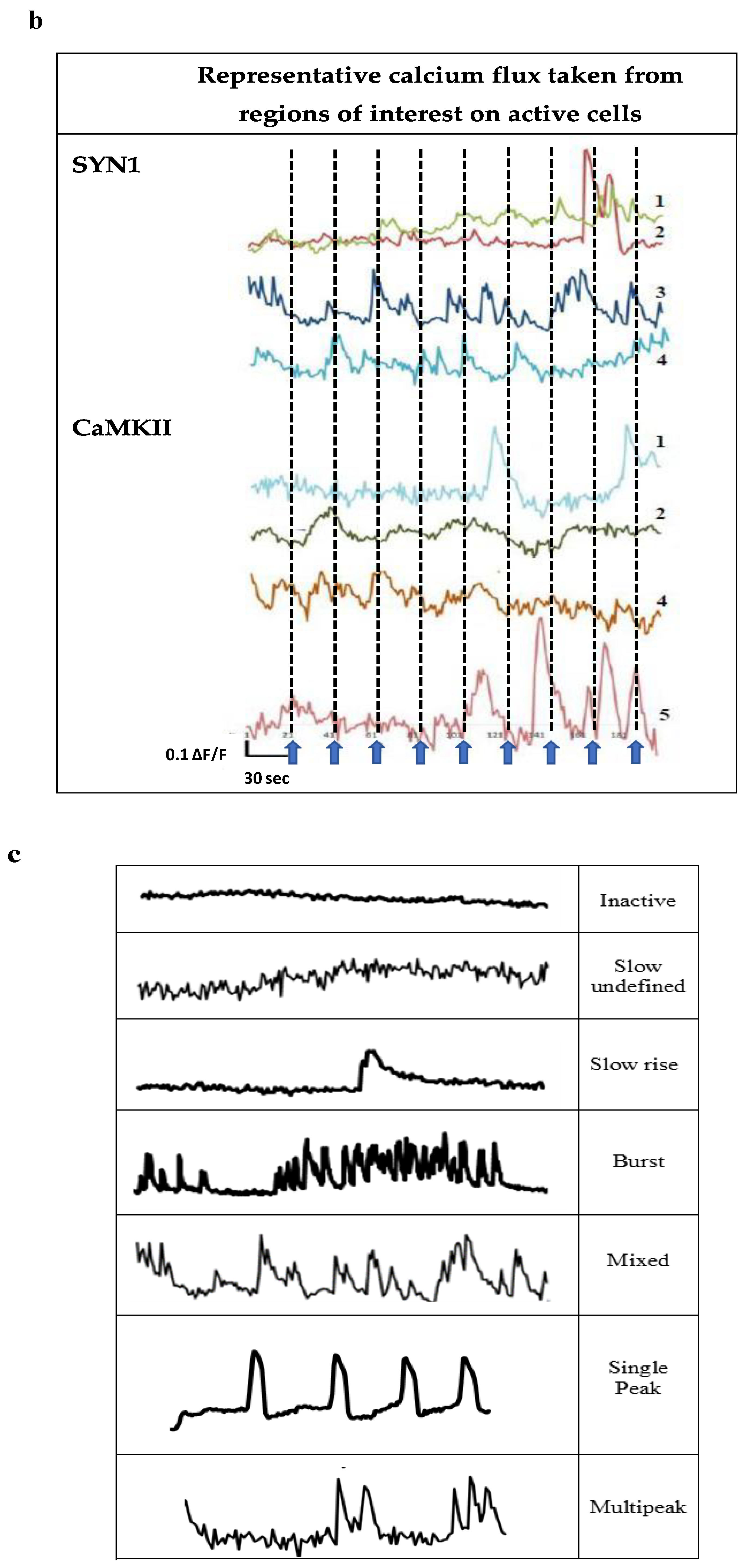 Biomedicines 10 01534 g004b 550