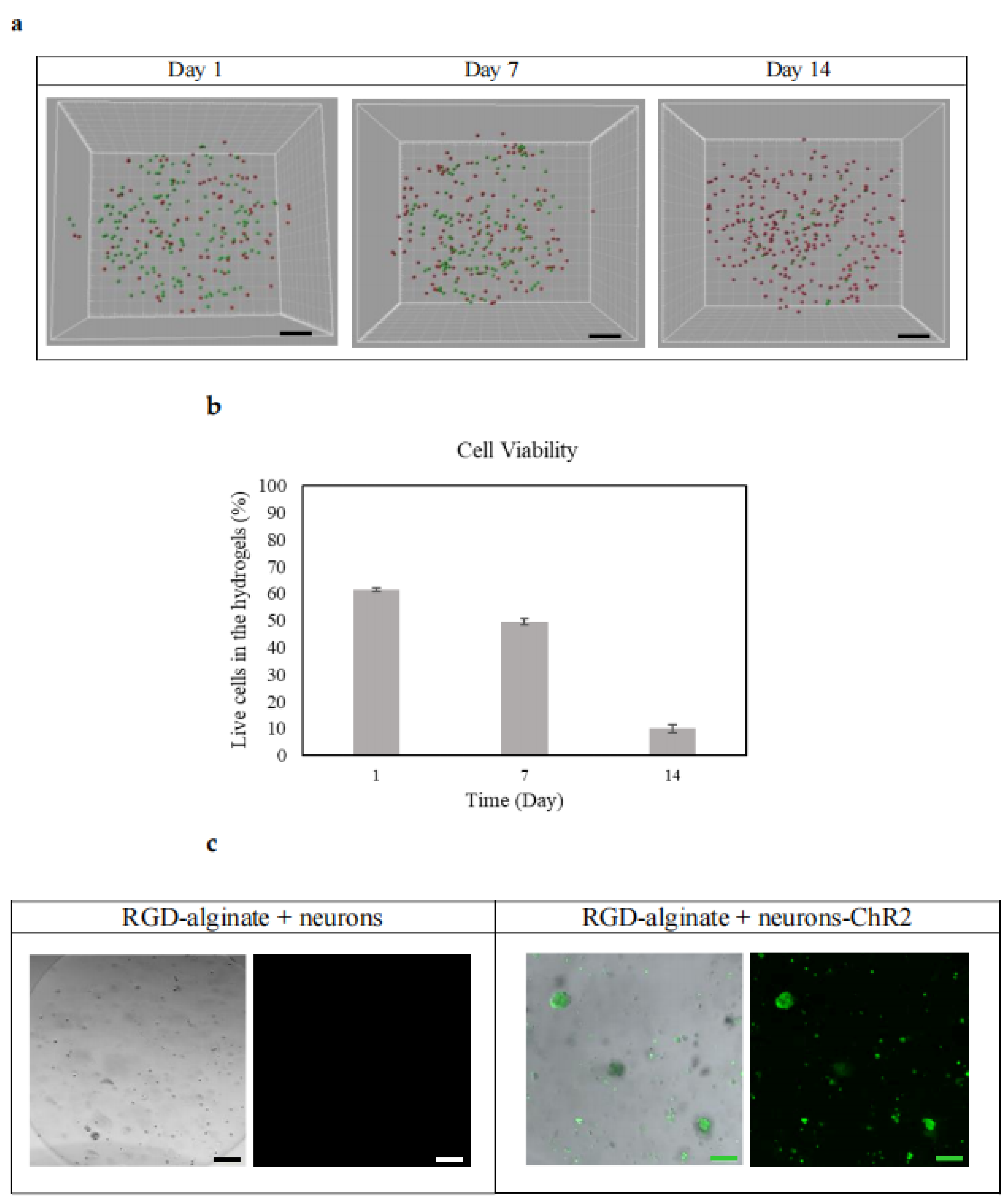 Biomedicines 10 01534 g005 550