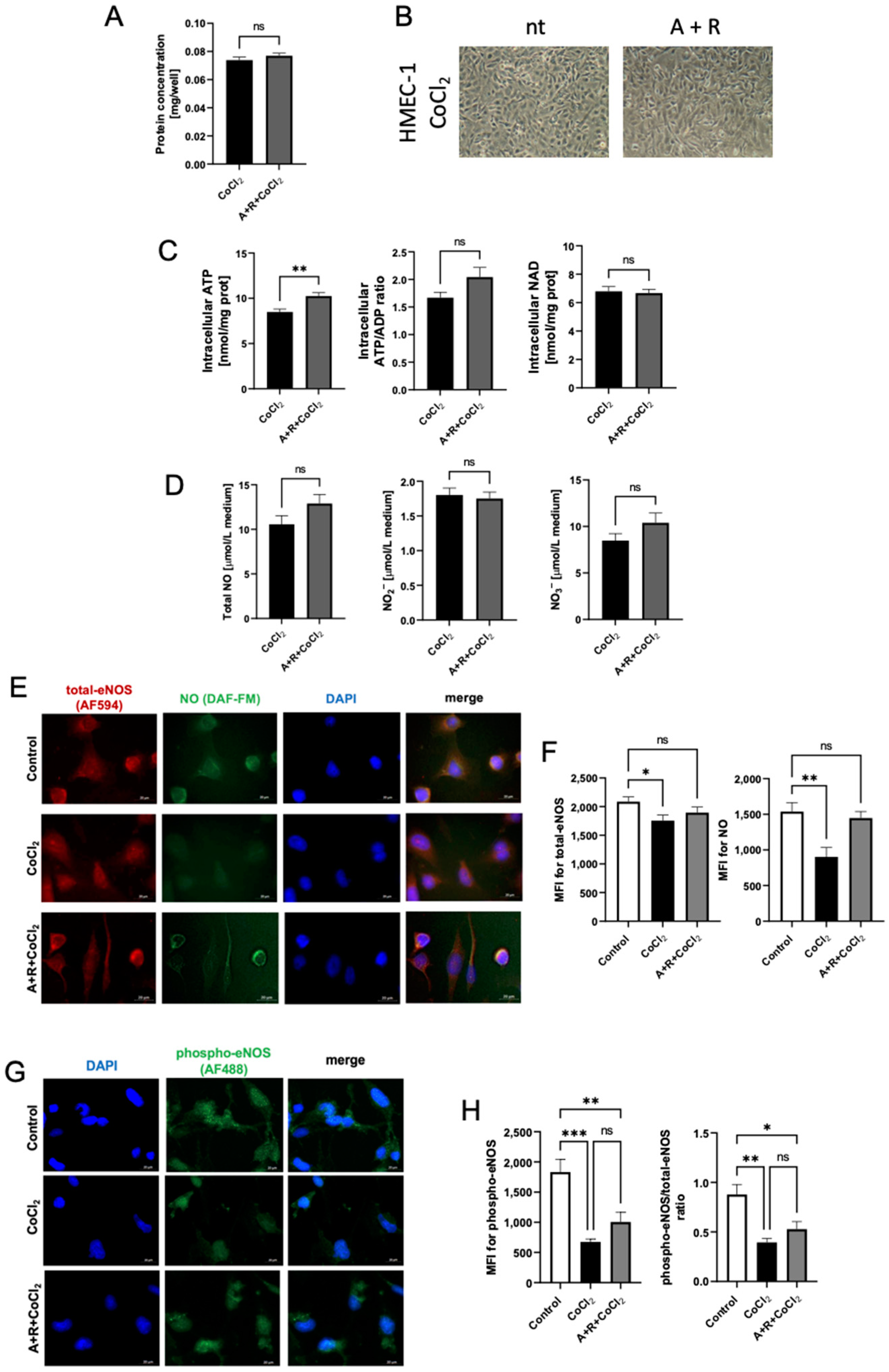 Biomedicines 10 01540 g006