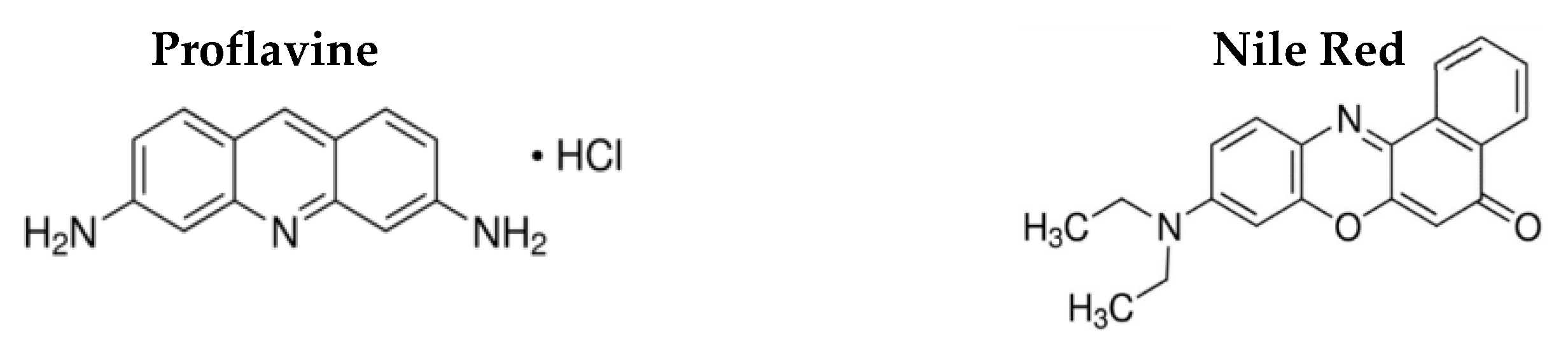 Biomedicines 10 01547 g004