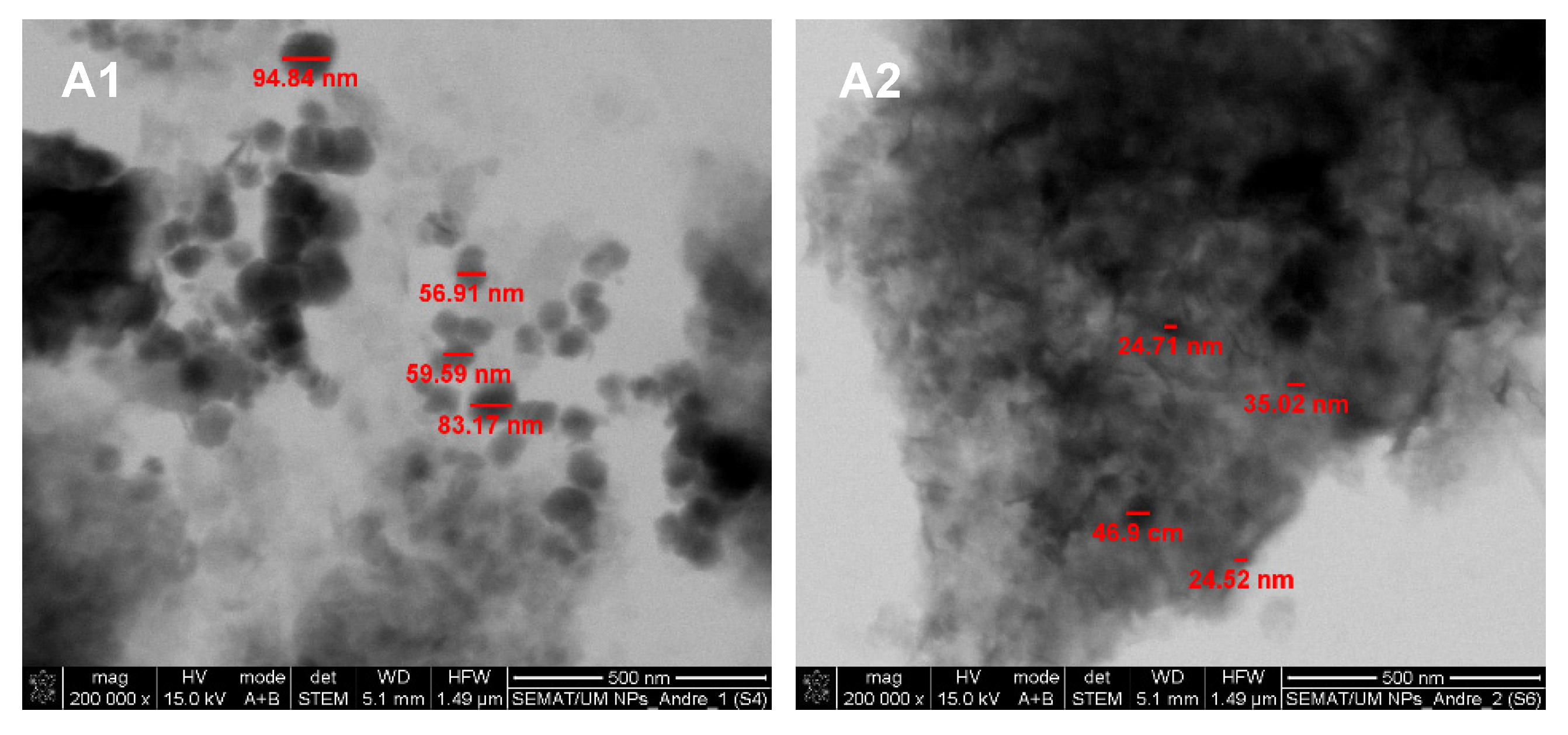 Biomedicines 10 01547 g006