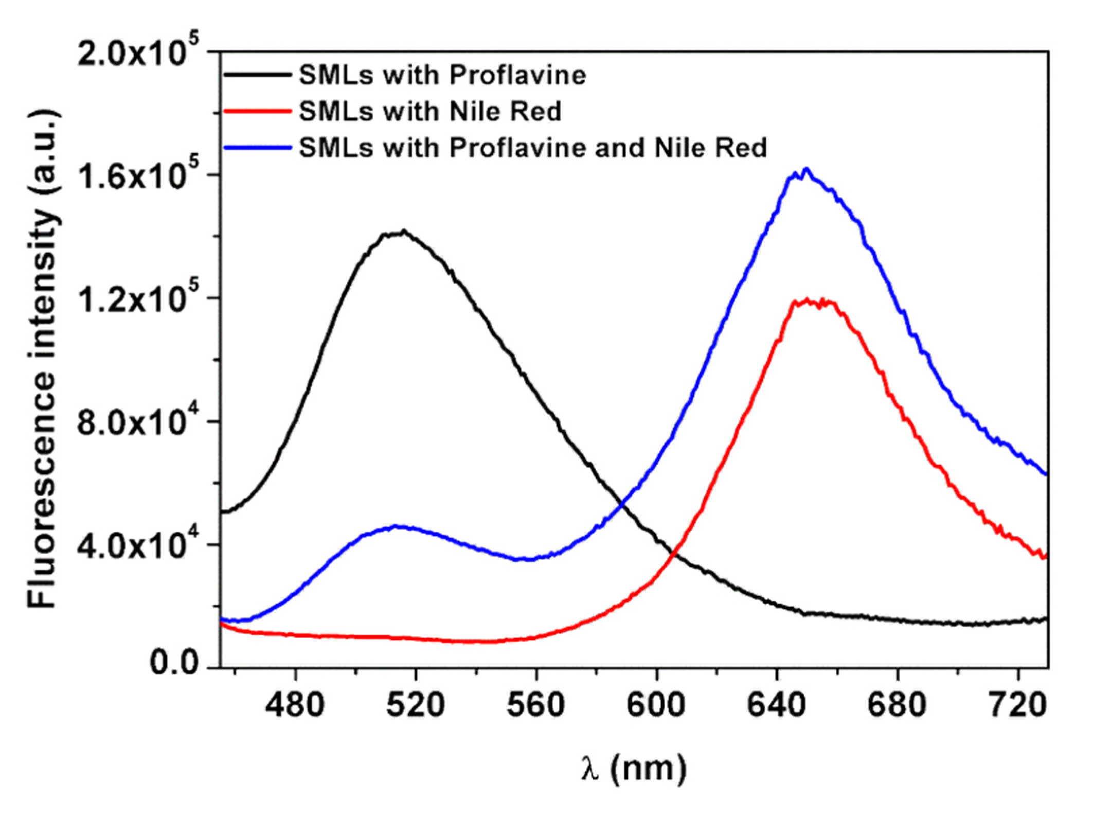 Biomedicines 10 01547 g010