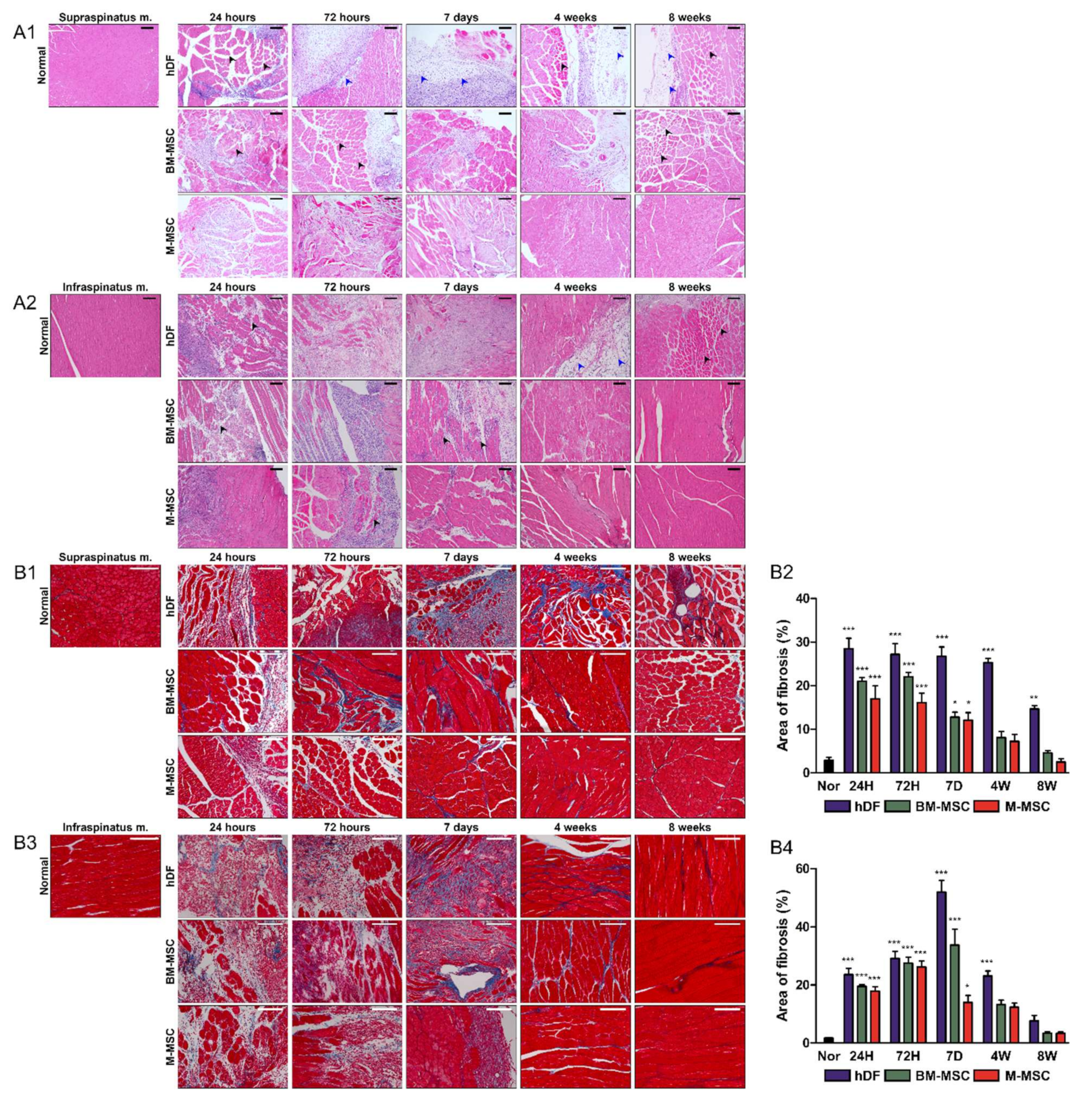 Biomedicines 10 01549 g003 550