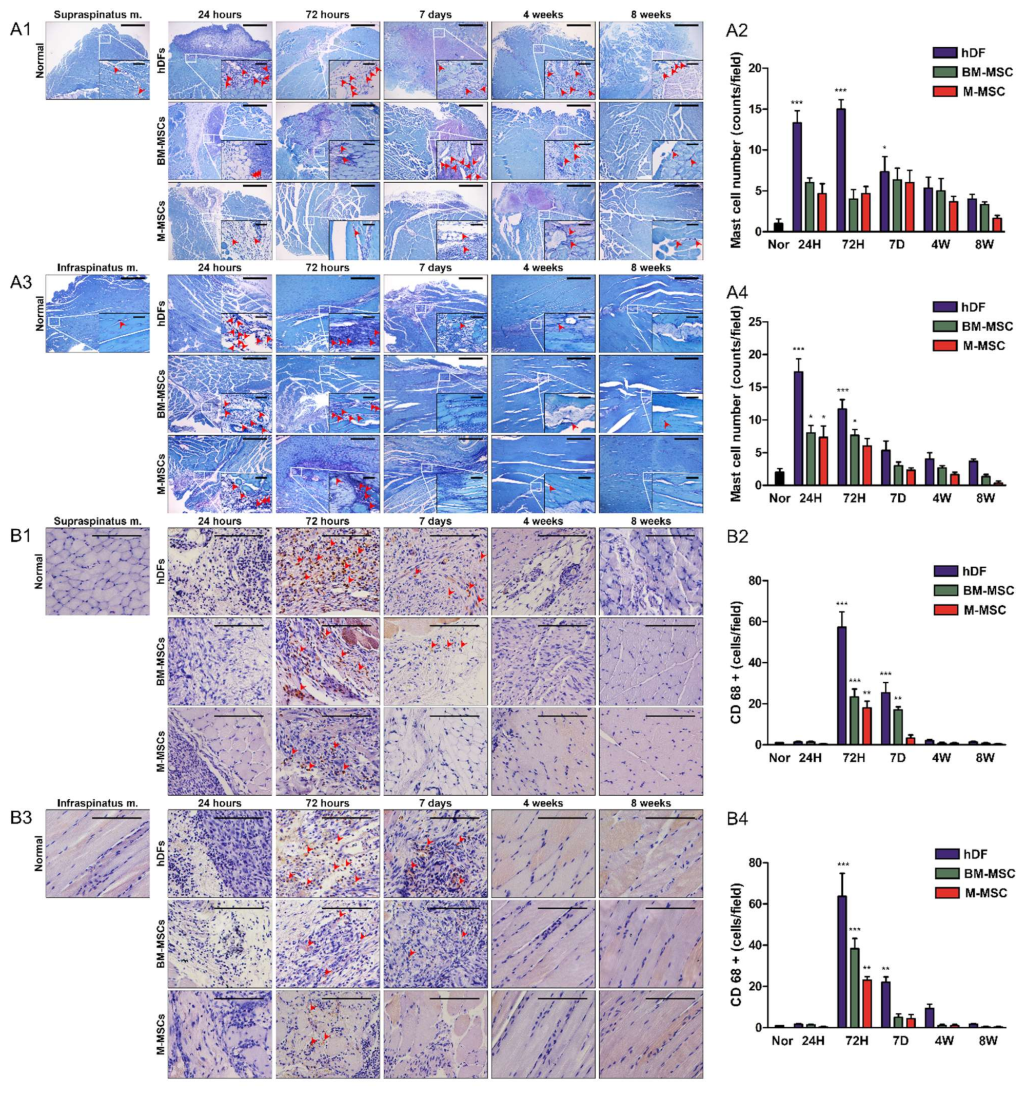 Biomedicines 10 01549 g004 550