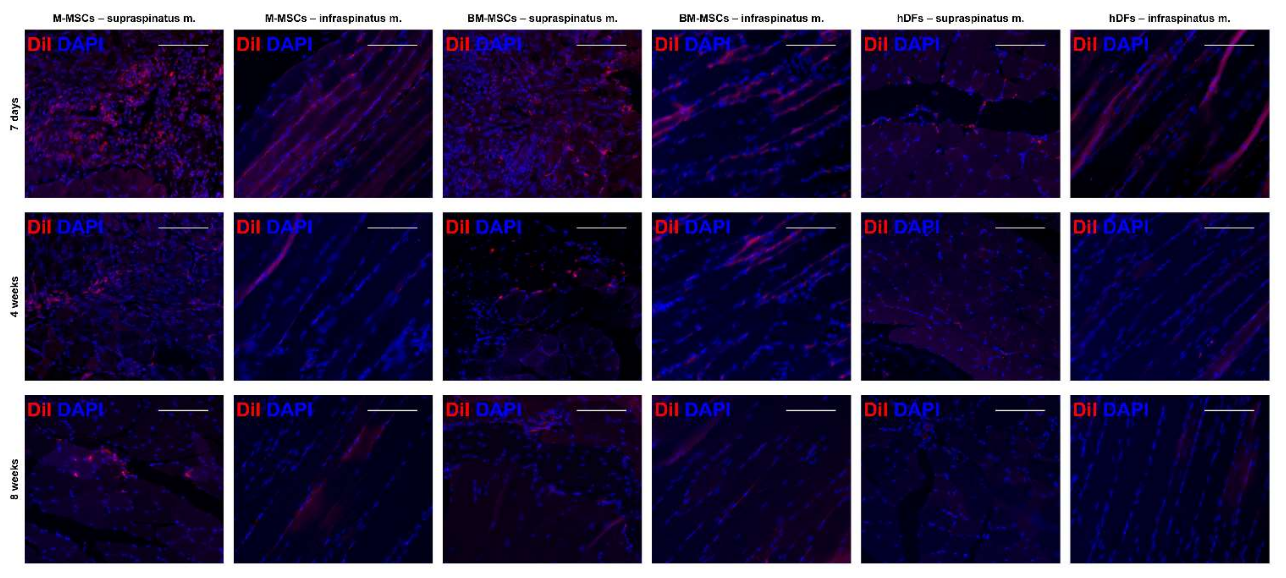 Biomedicines 10 01549 g006 550