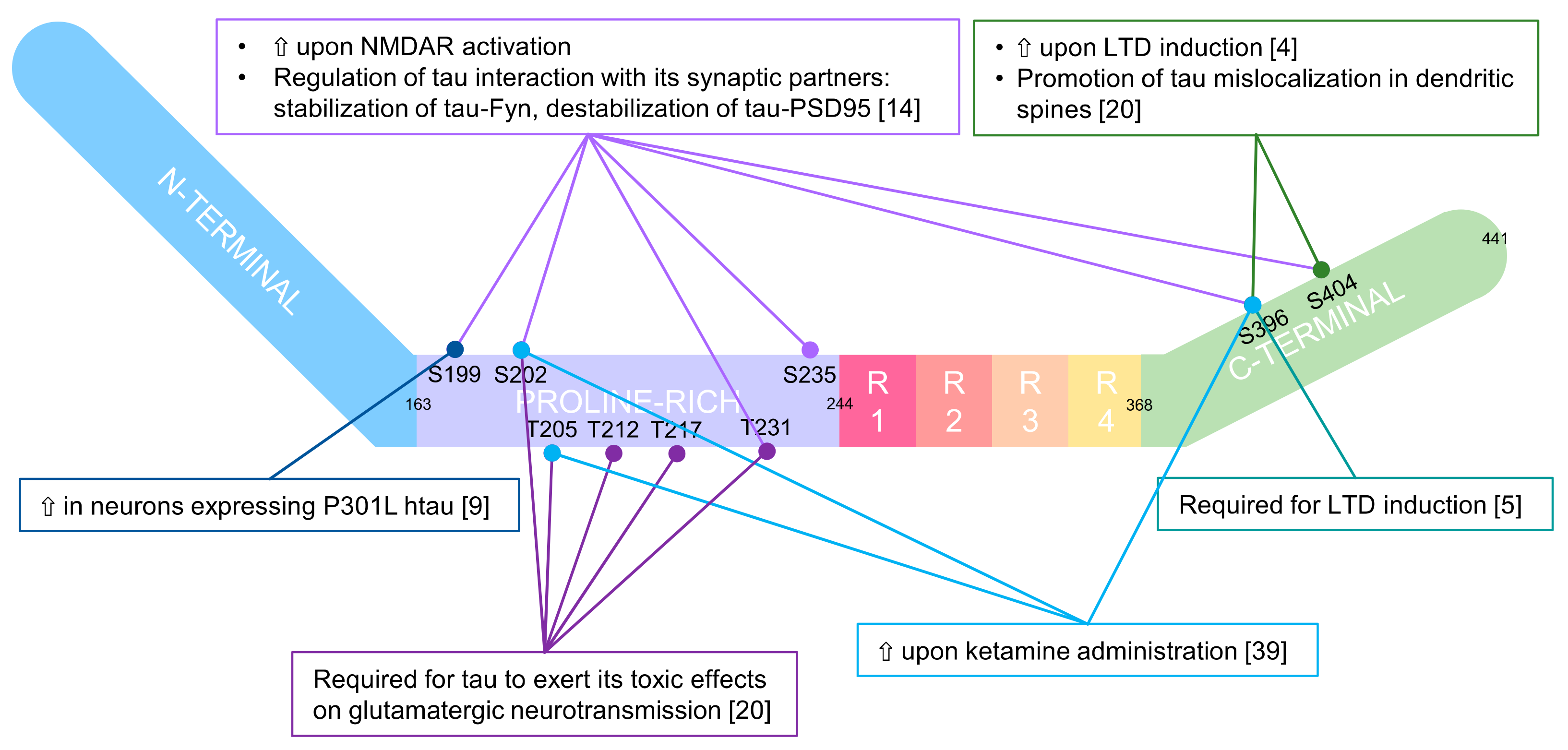 Biomedicines 10 01550 g002