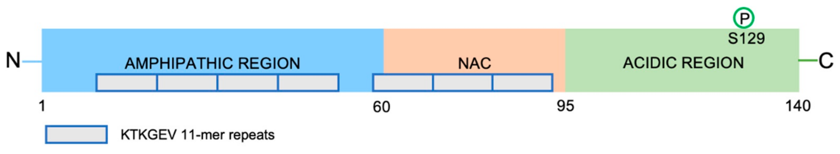 Biomedicines 10 01550 g003