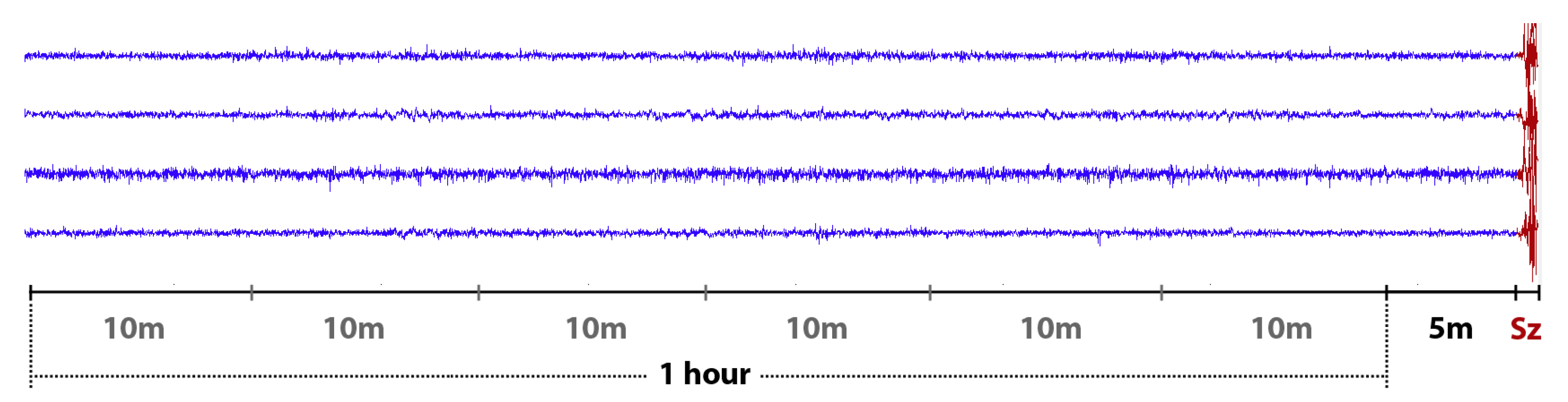 Biomedicines 10 01551 g001