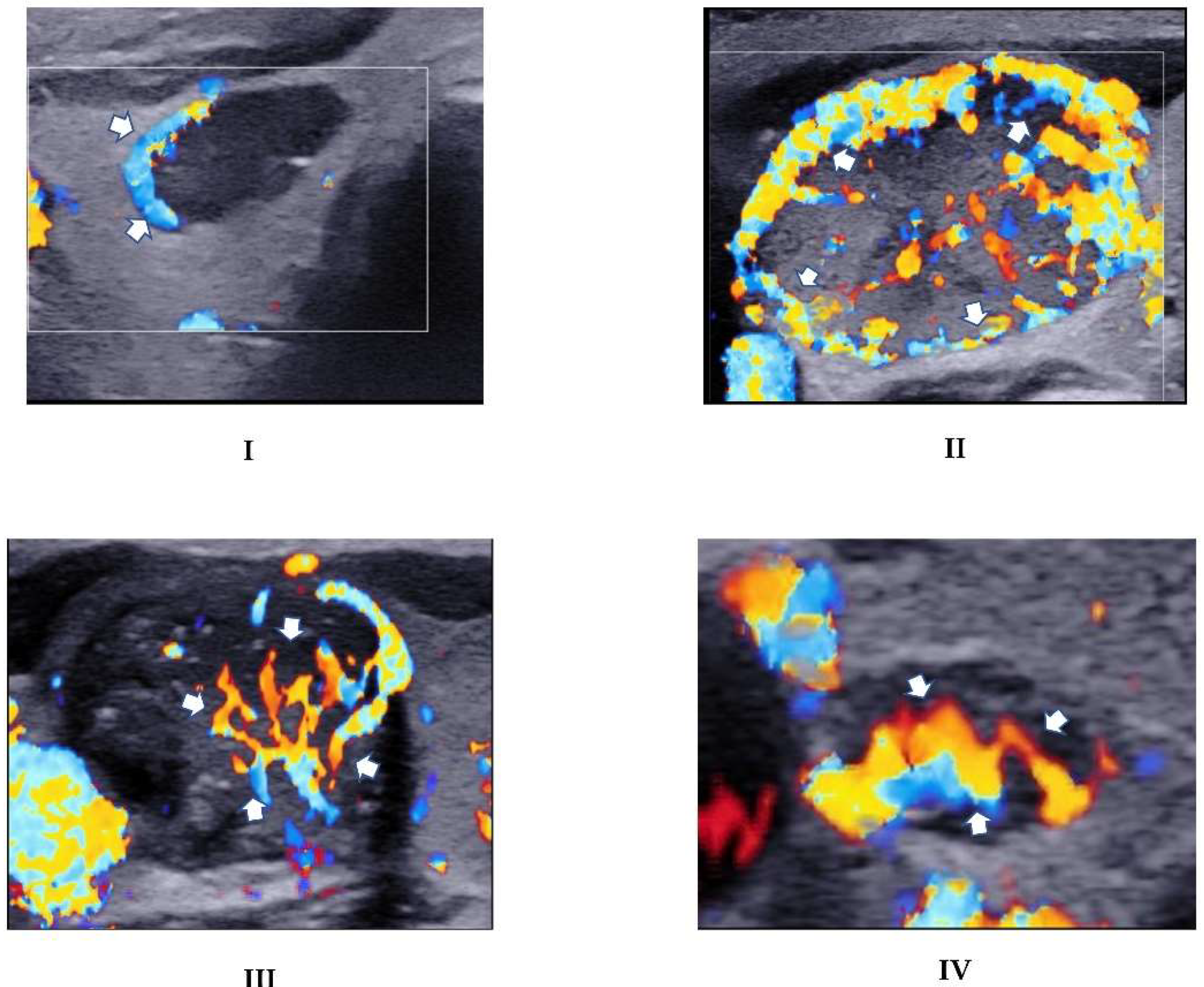 Biomedicines 10 01554 g003 Biomedicines 10 01554 g003