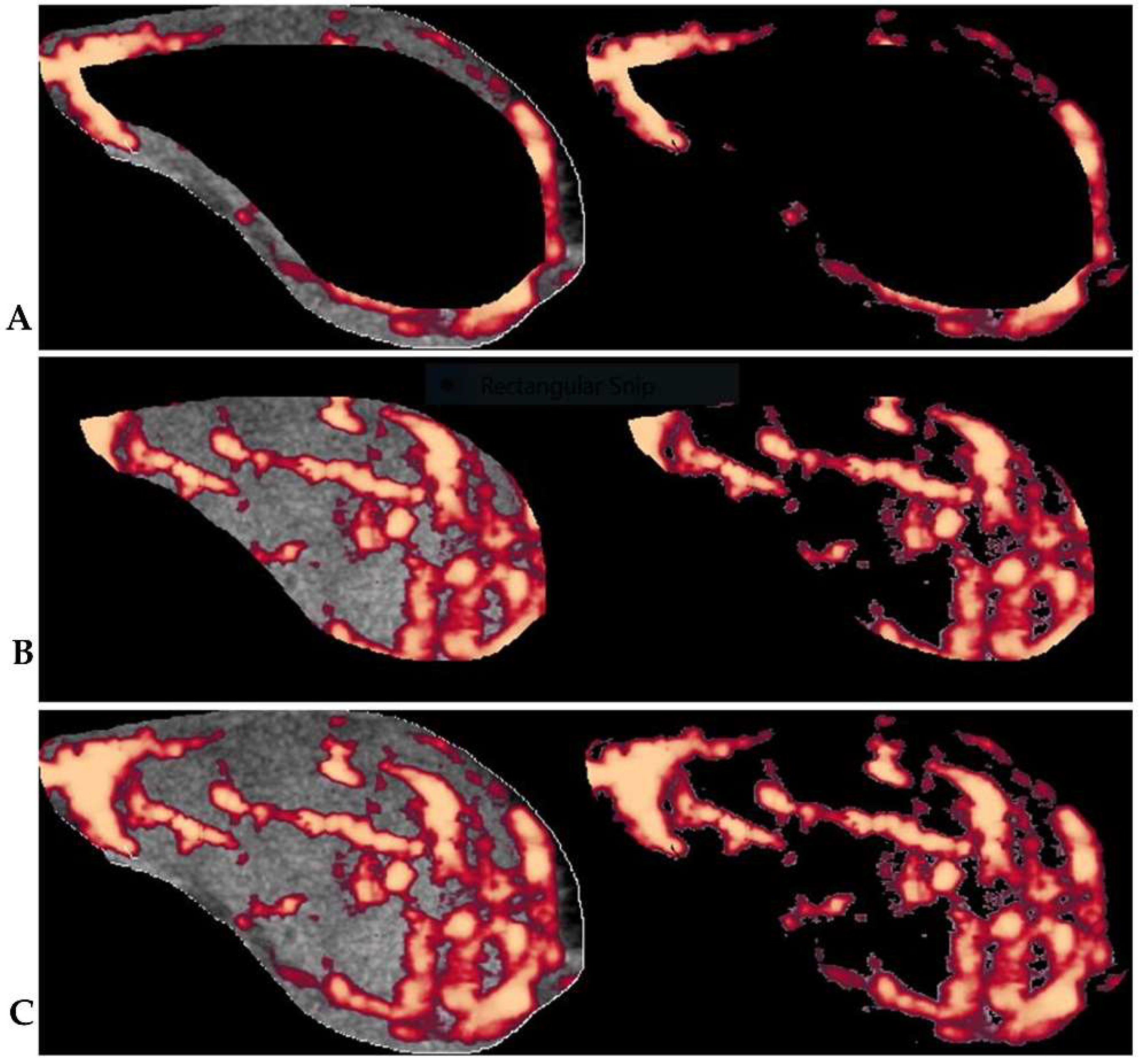 Biomedicines 10 01554 g004 Biomedicines 10 01554 g004