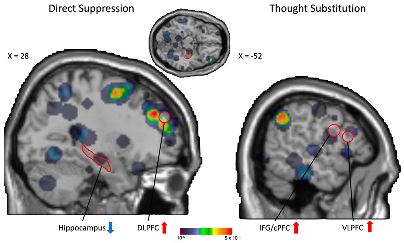 Biomedicines 10 01555 g002 Biomedicines 10 01555 g002