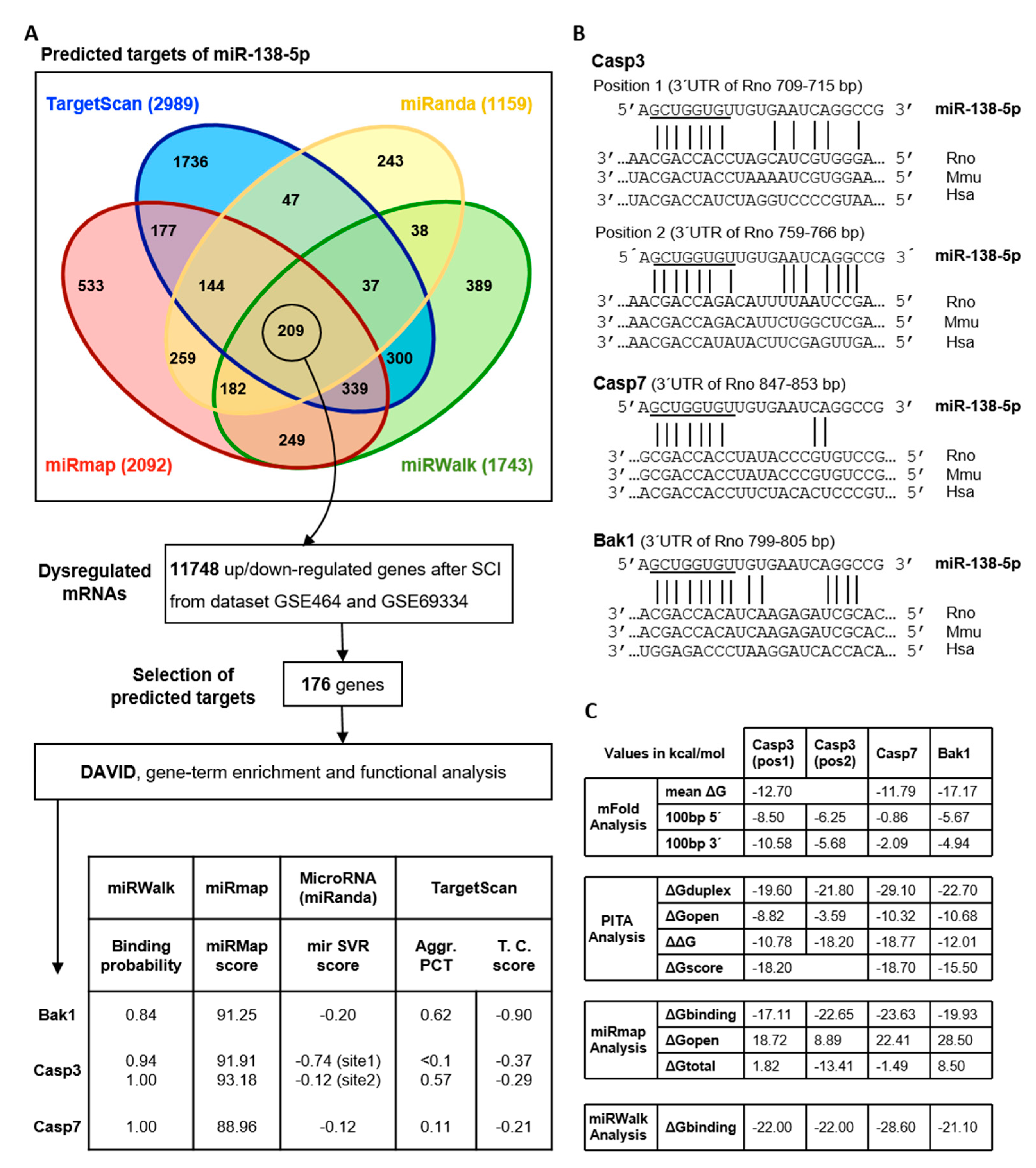 Biomedicines 10 01559 g004