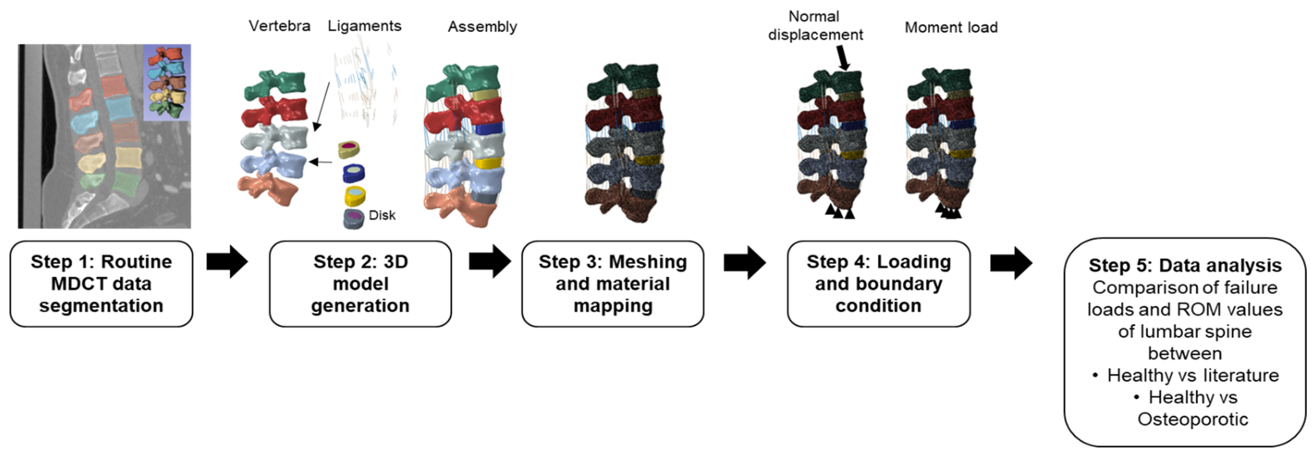 Biomedicines 10 01567 g001 Biomedicines 10 01567 g001