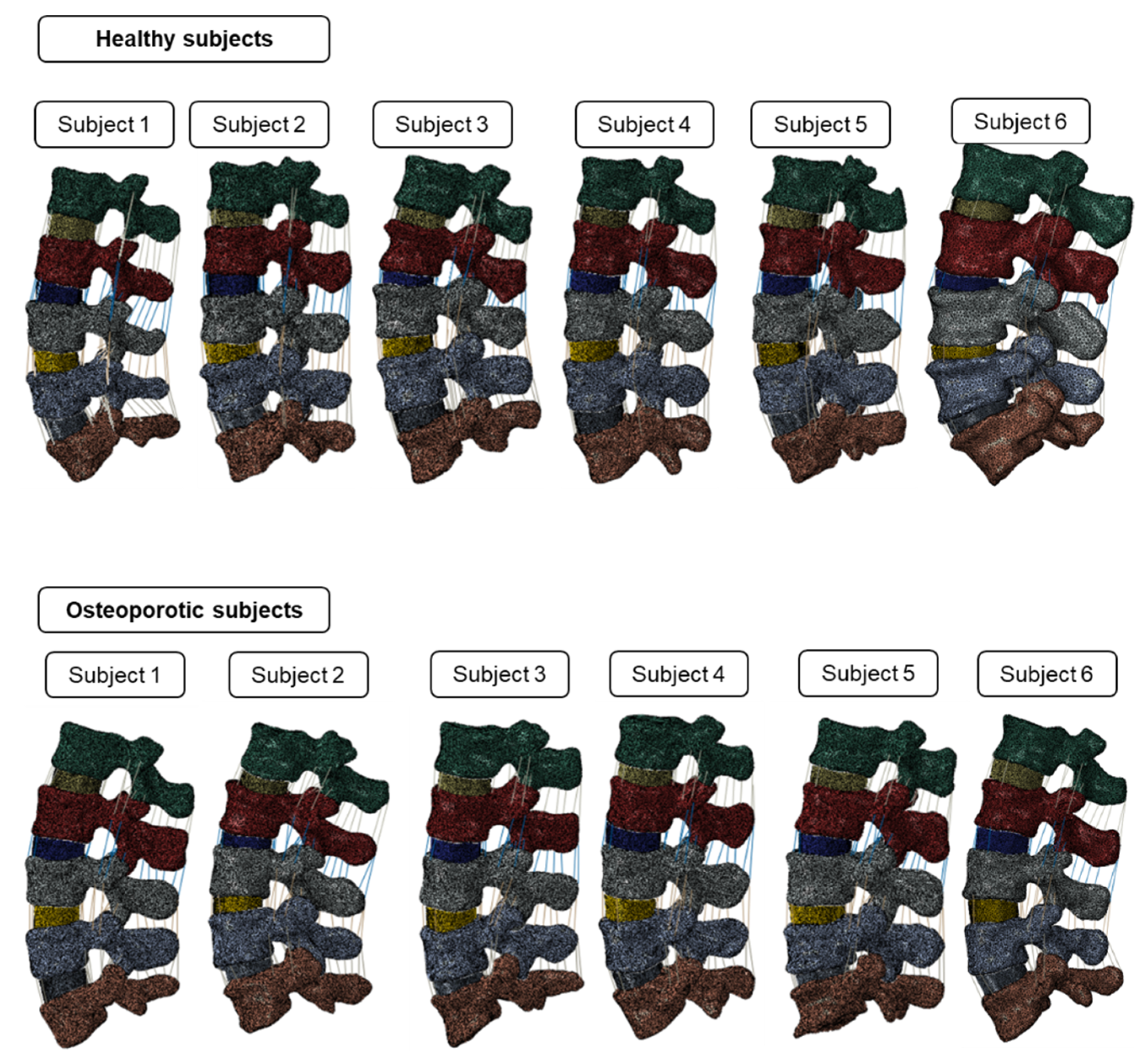 Biomedicines 10 01567 g003 Biomedicines 10 01567 g003