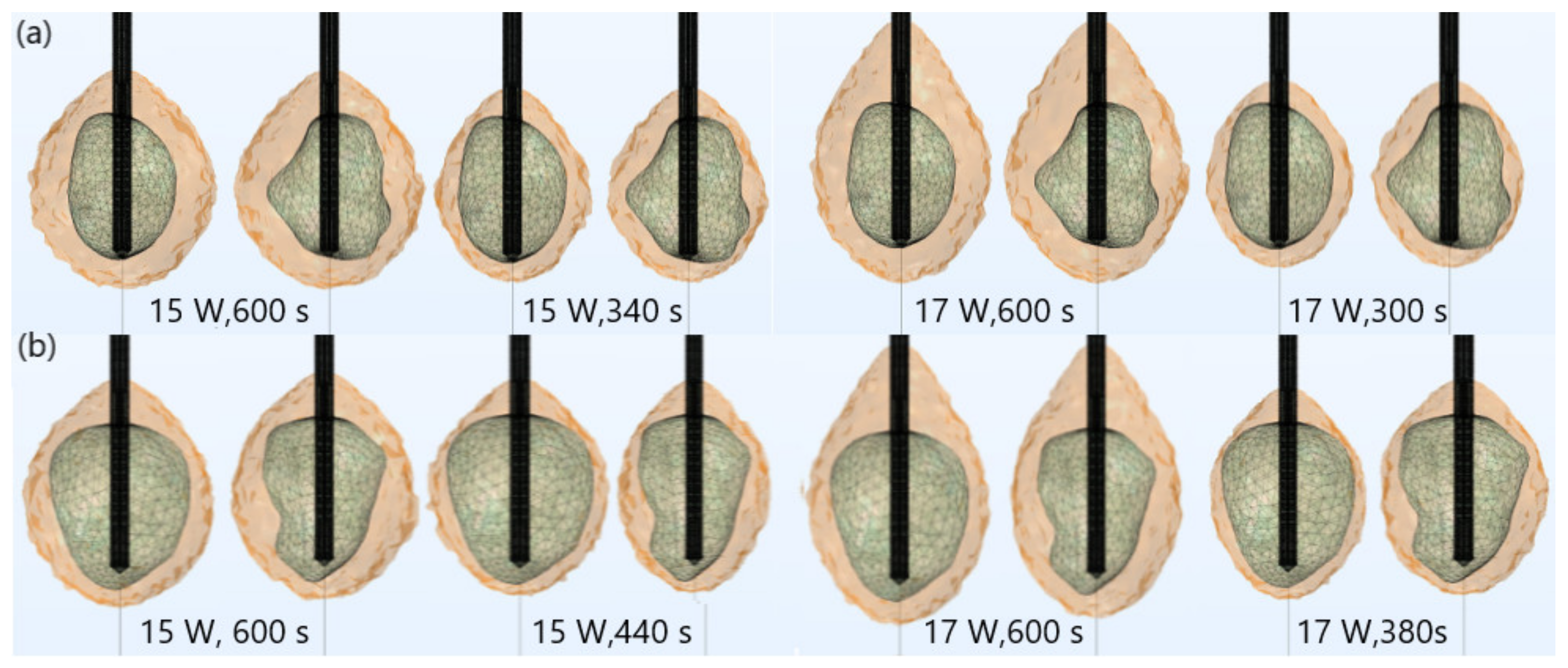 Biomedicines 10 01569 g004 Biomedicines 10 01569 g004