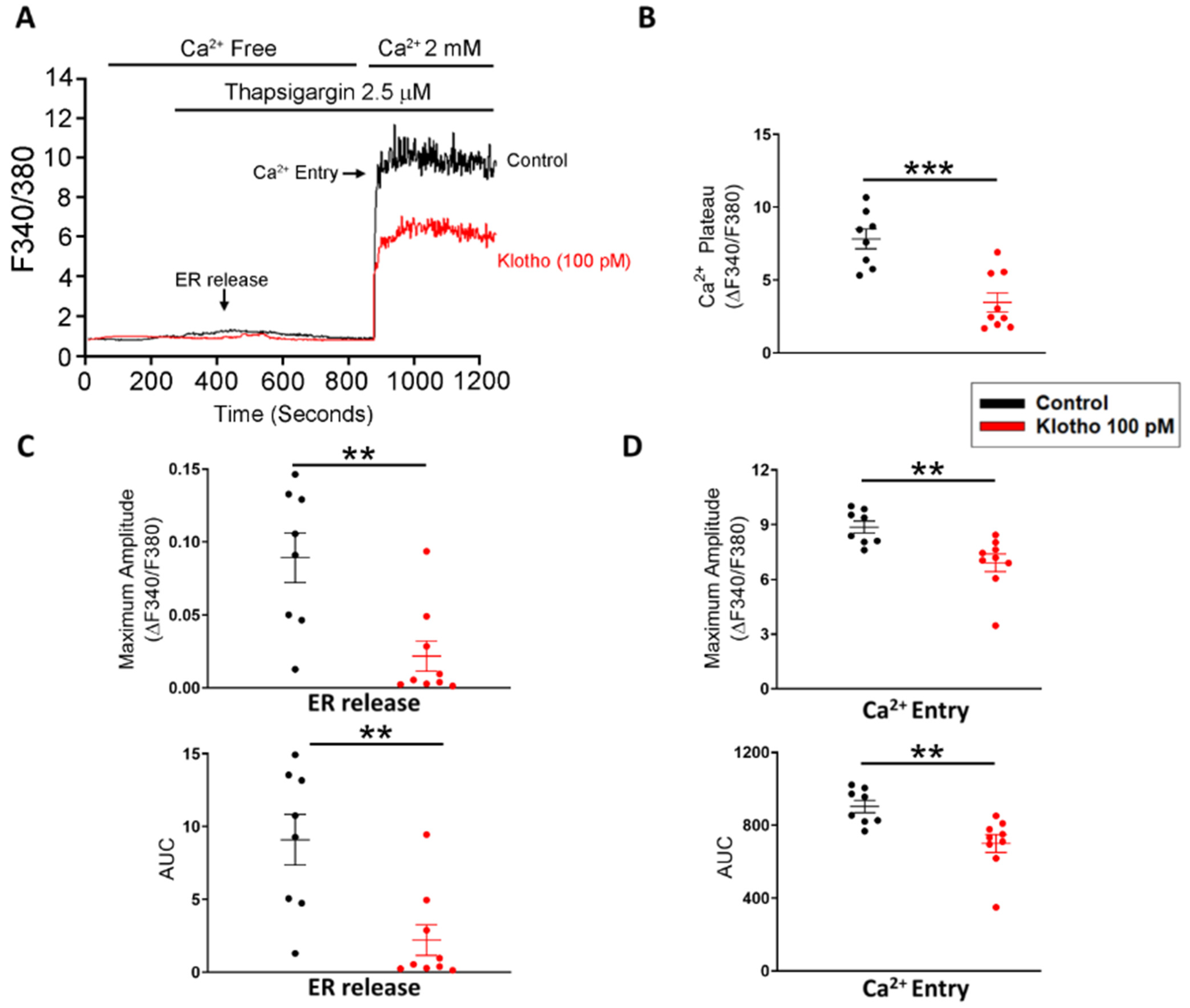 Biomedicines 10 01574 g002