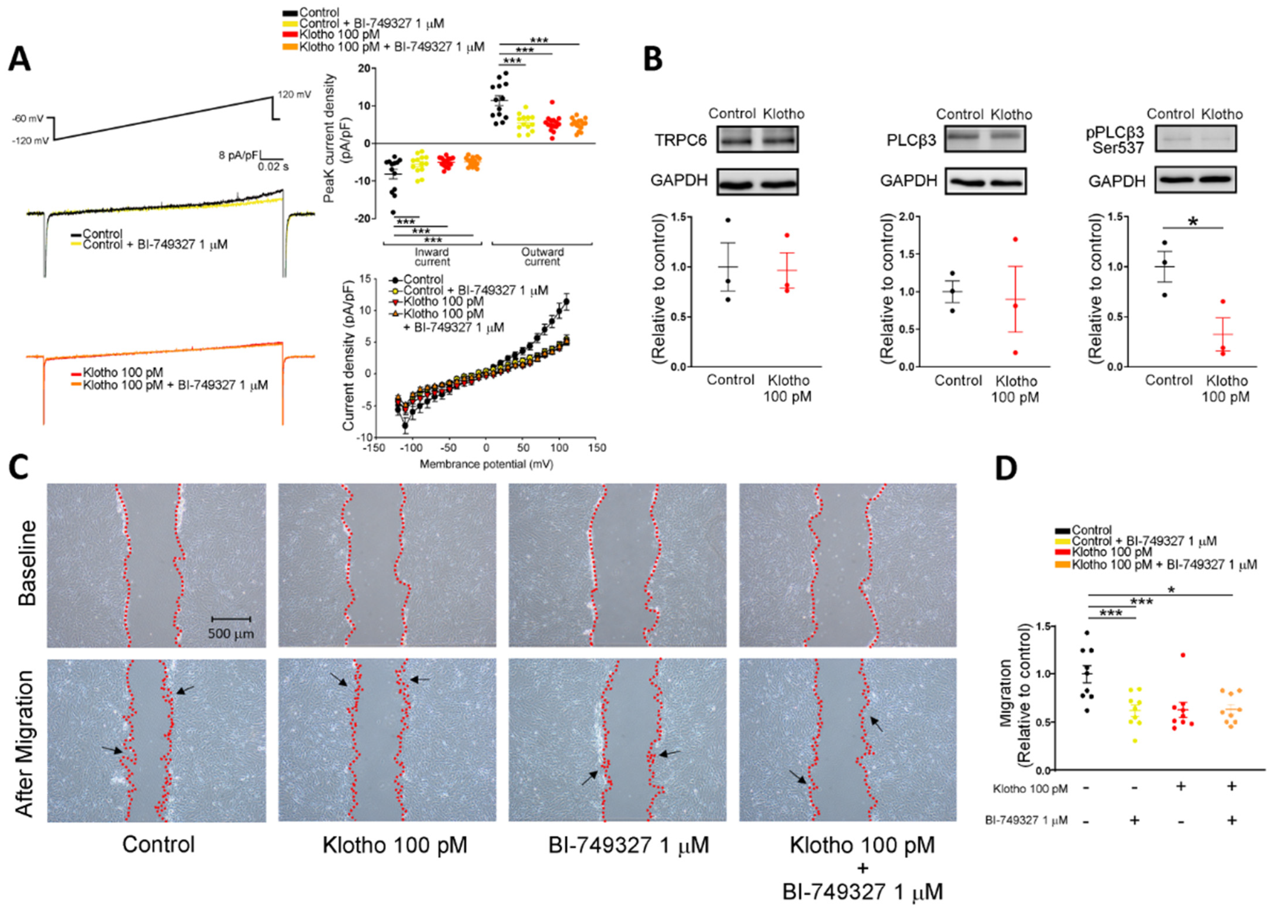 Biomedicines 10 01574 g003