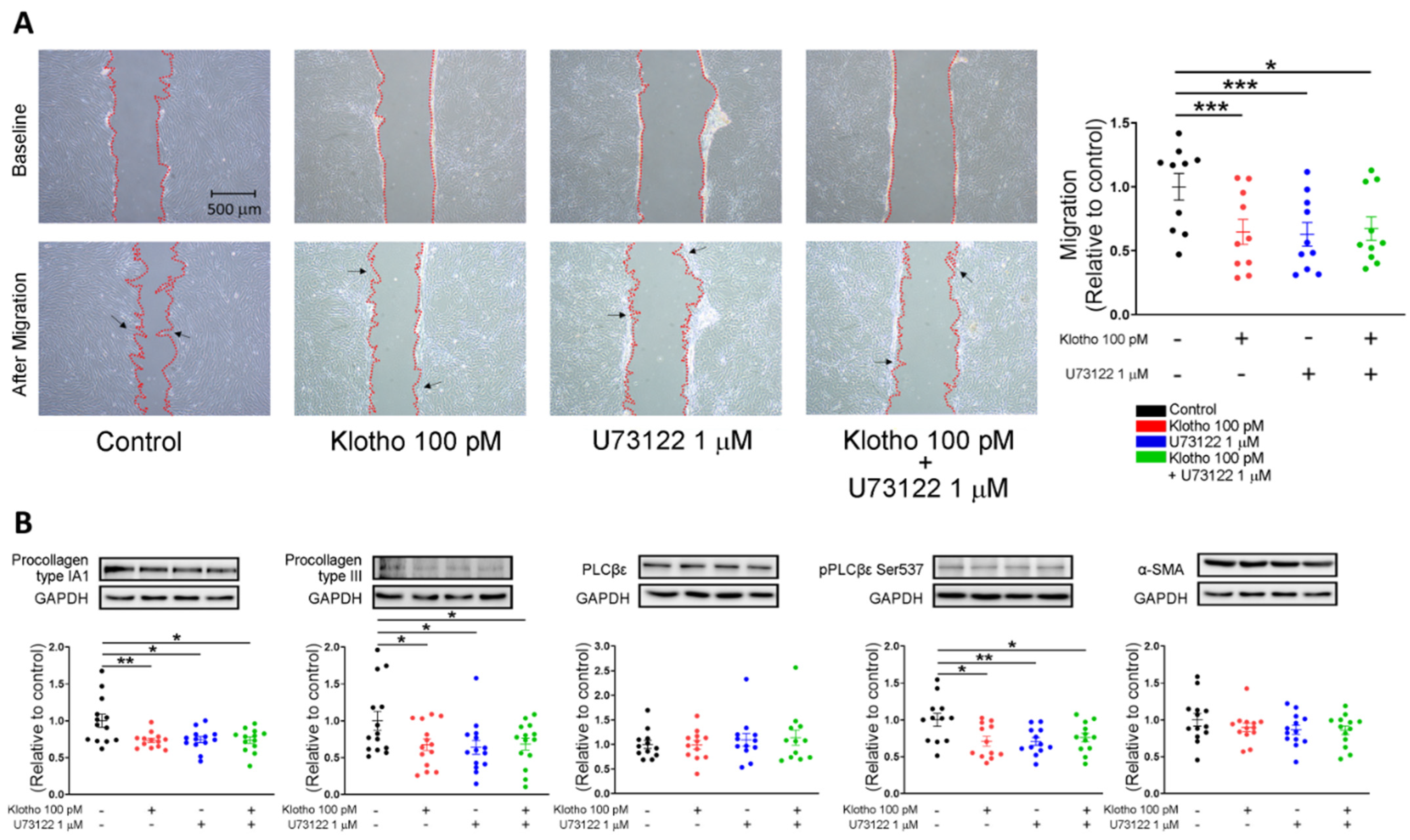 Biomedicines 10 01574 g004