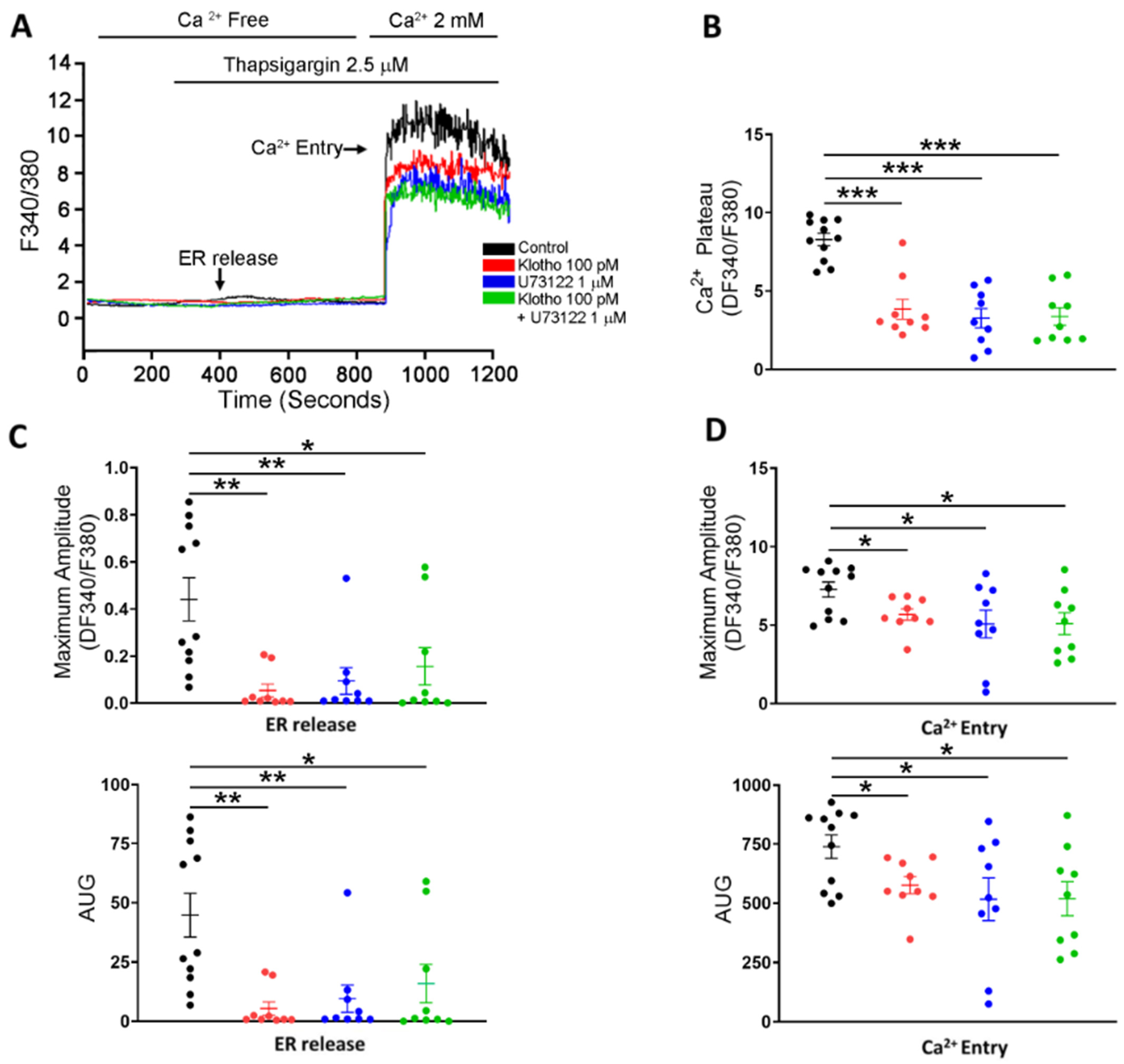 Biomedicines 10 01574 g005