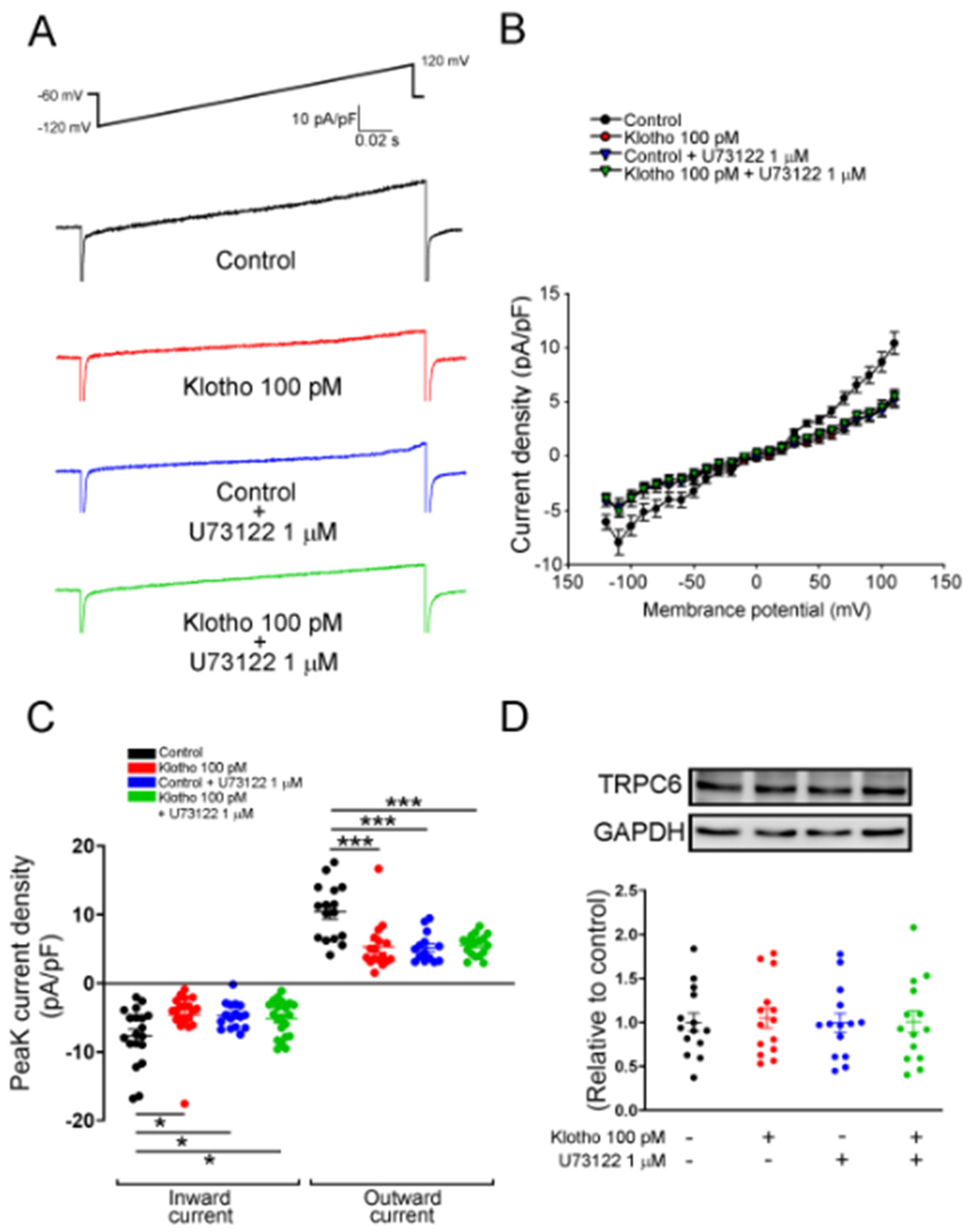 Biomedicines 10 01574 g006