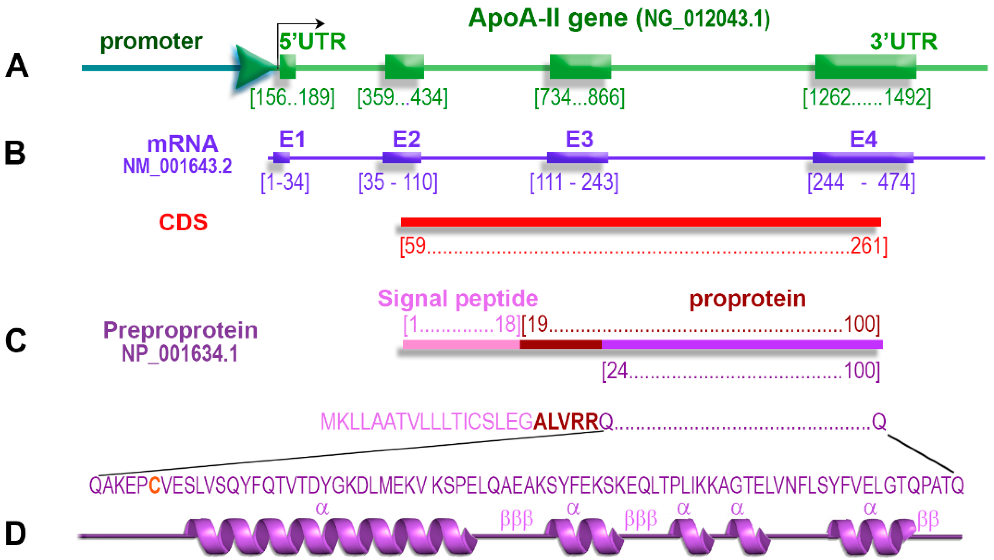 Biomedicines 10 01578 g001