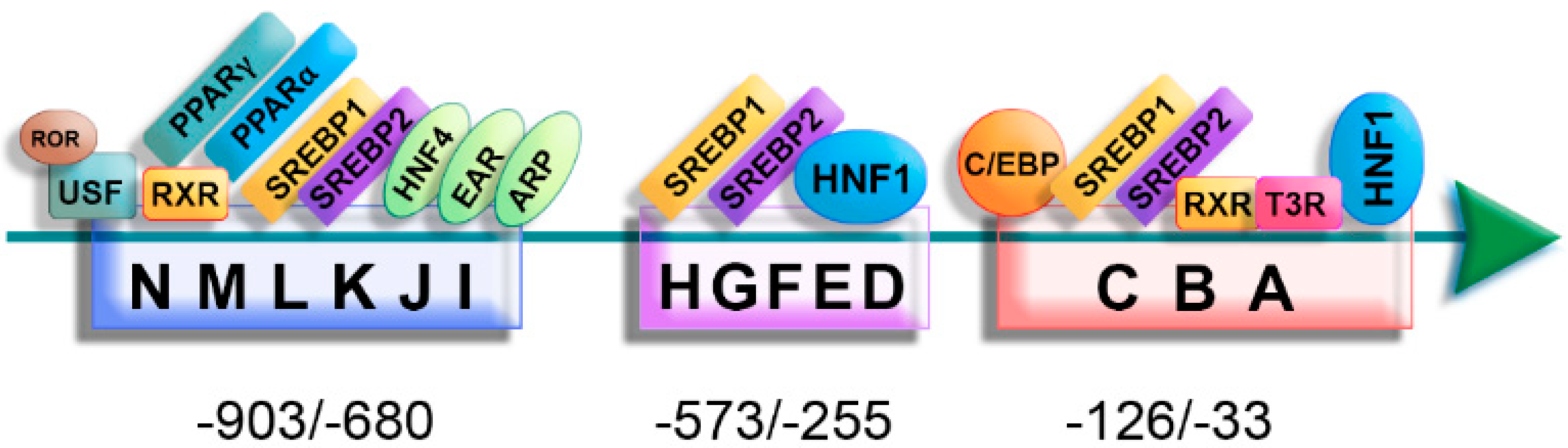 Biomedicines 10 01578 g002