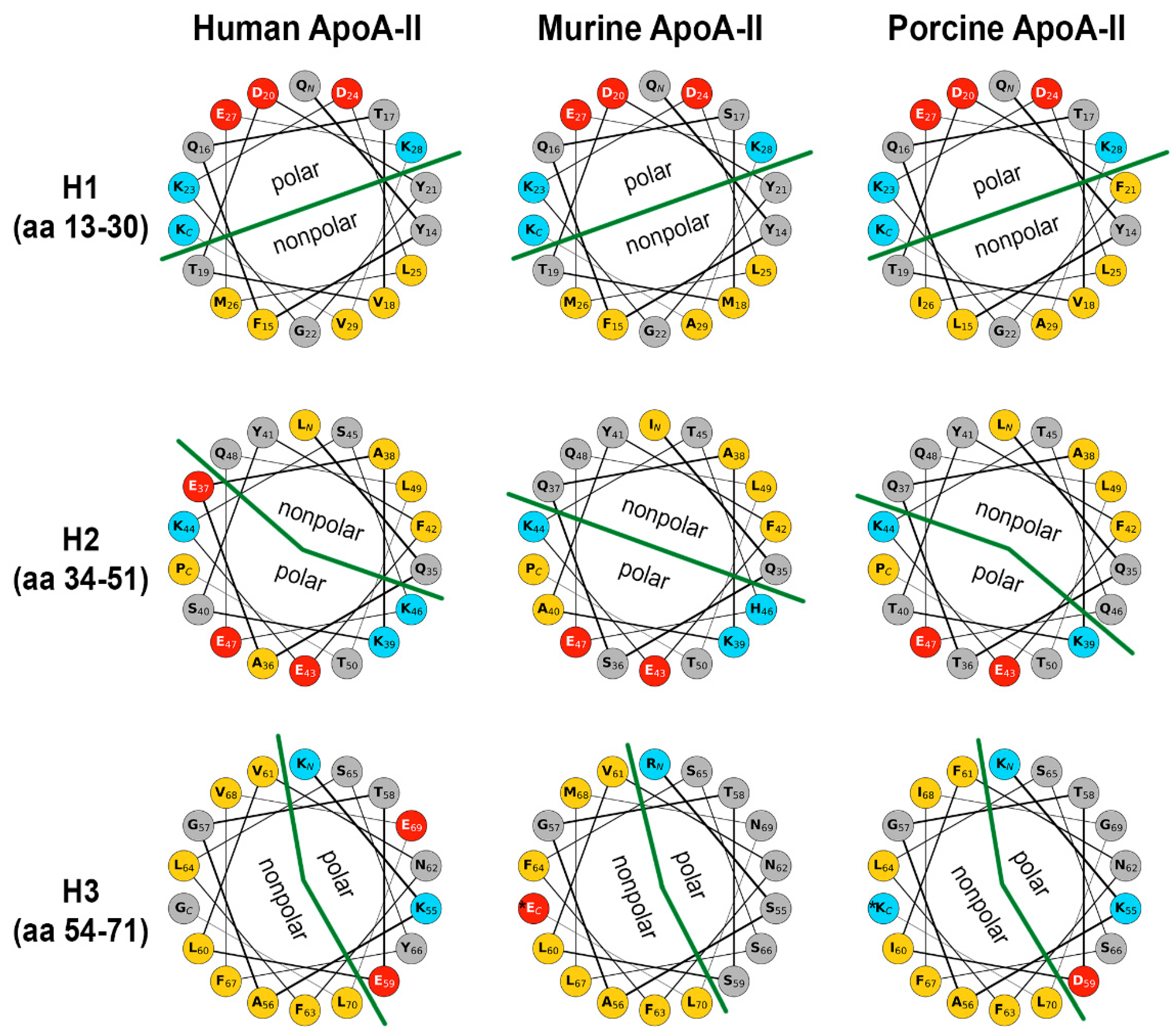 Biomedicines 10 01578 g004
