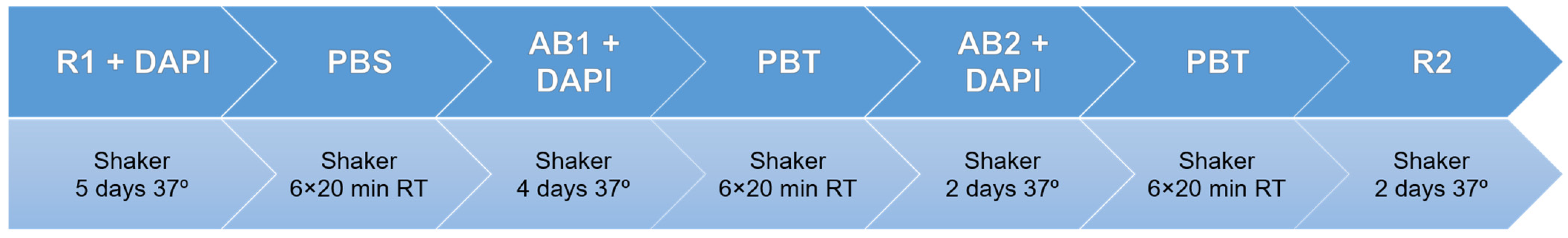 Biomedicines 10 01580 g002 550