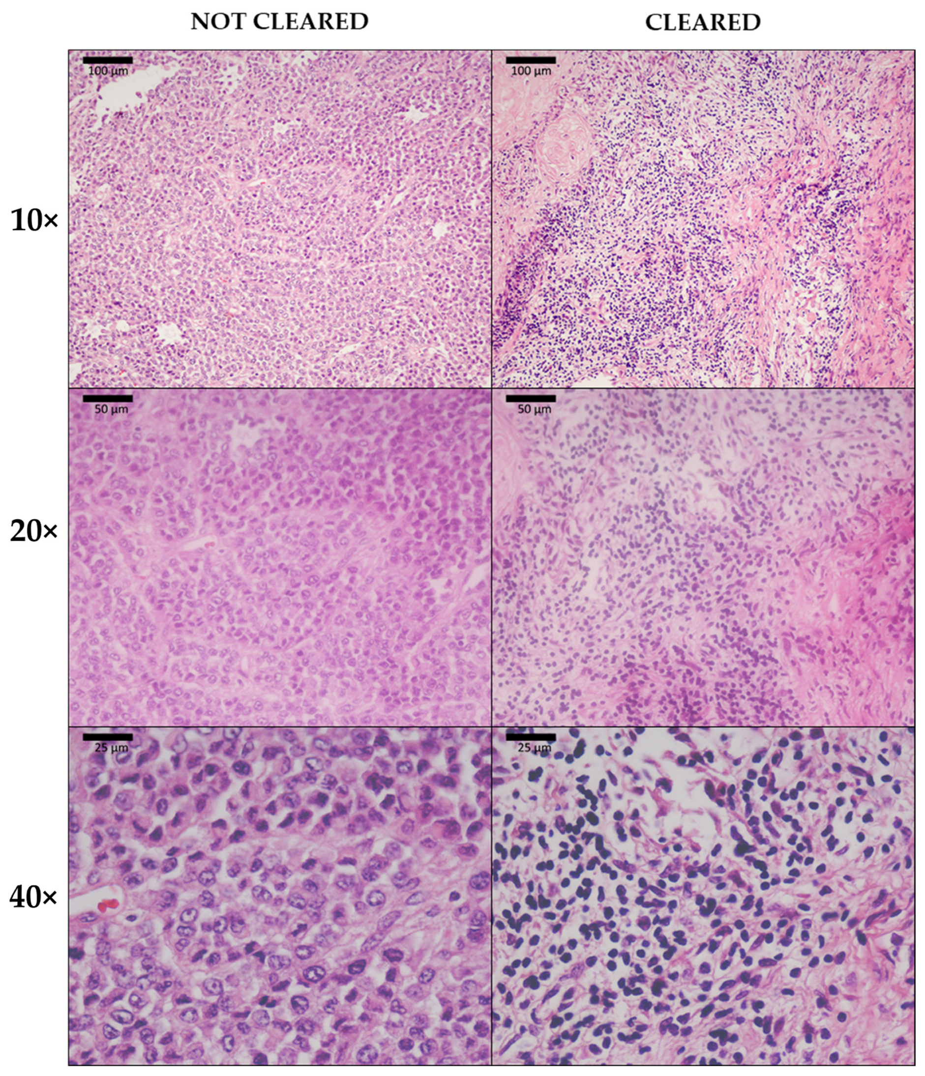 Biomedicines 10 01580 g008 550
