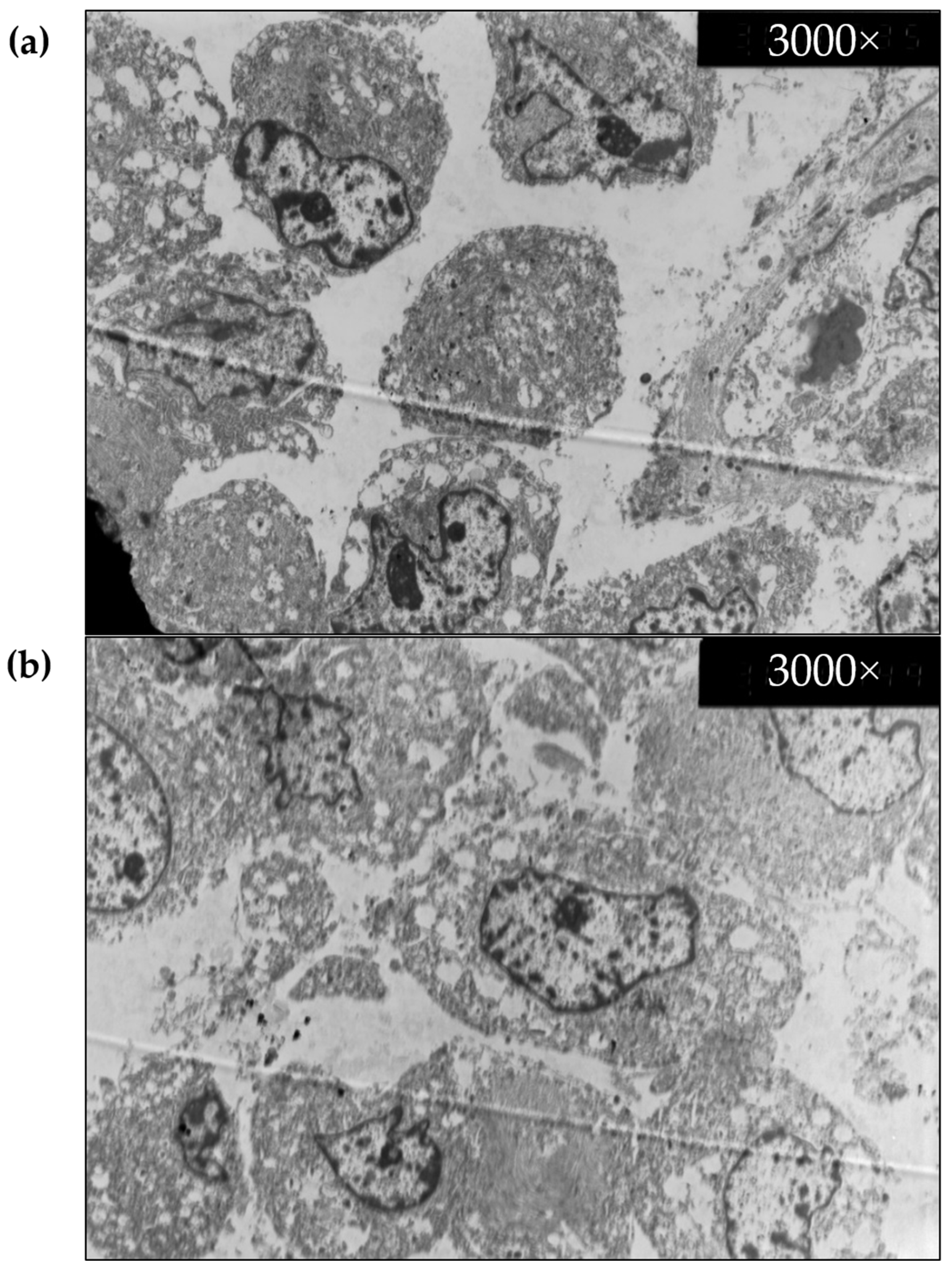 Biomedicines 10 01580 g009 550