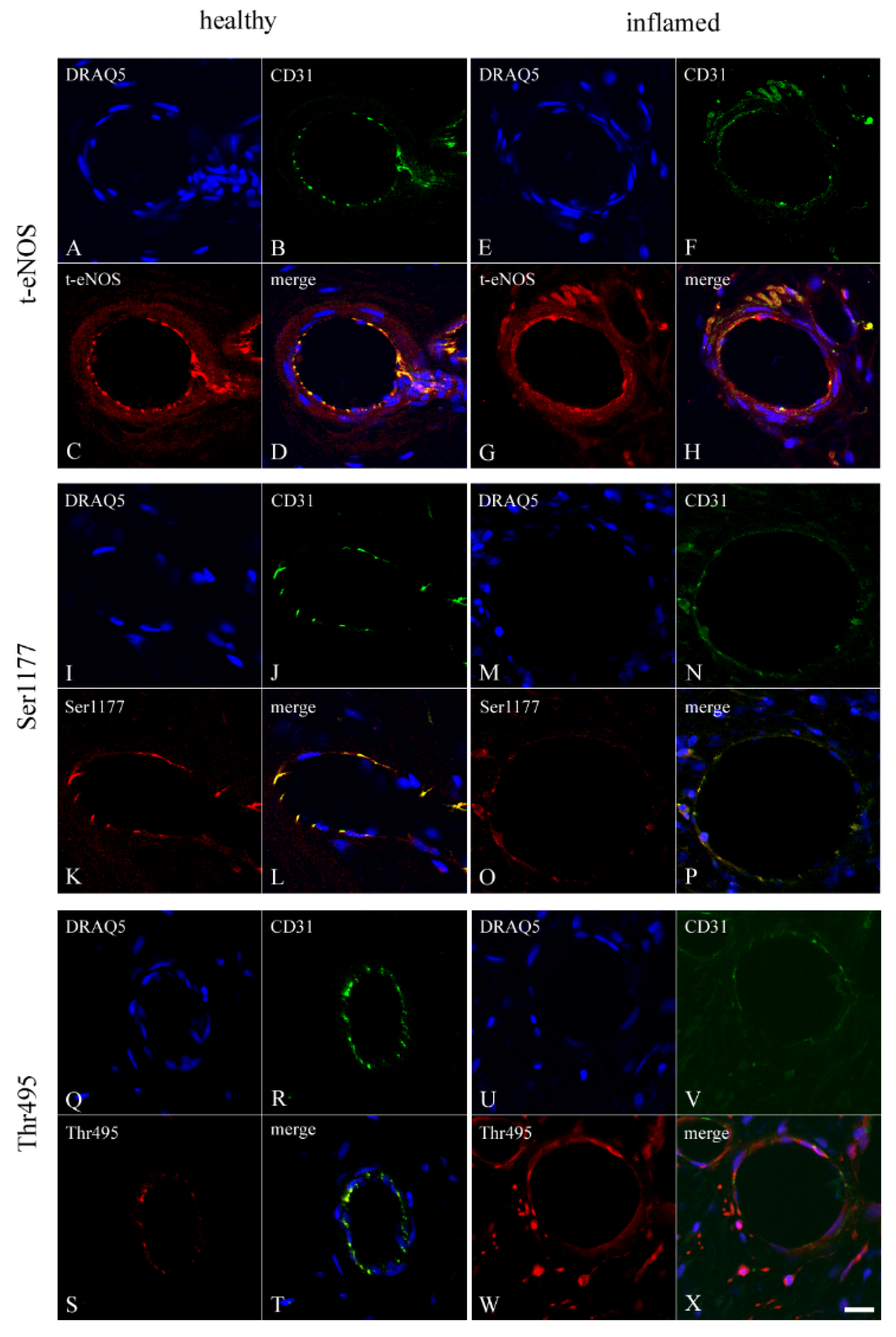 Biomedicines 10 01586 g002 550