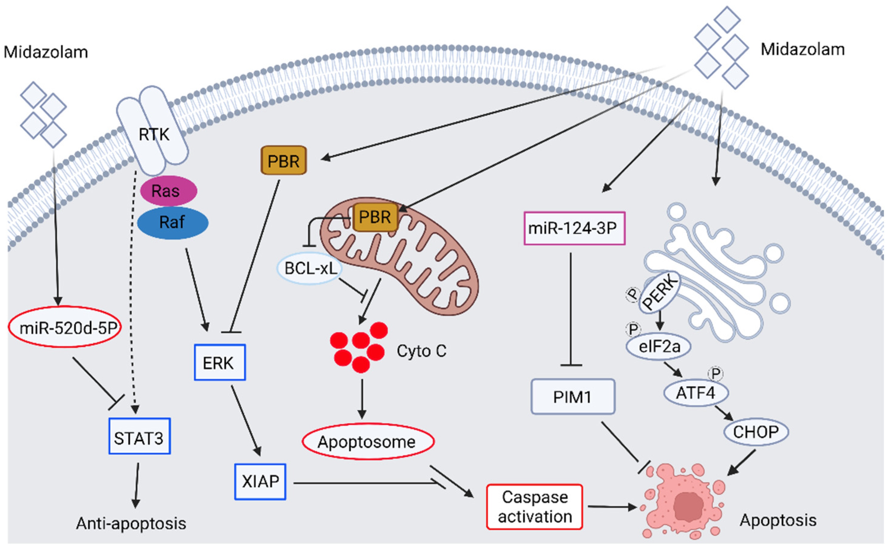 Biomedicines 10 01589 g001 Biomedicines 10 01589 g001