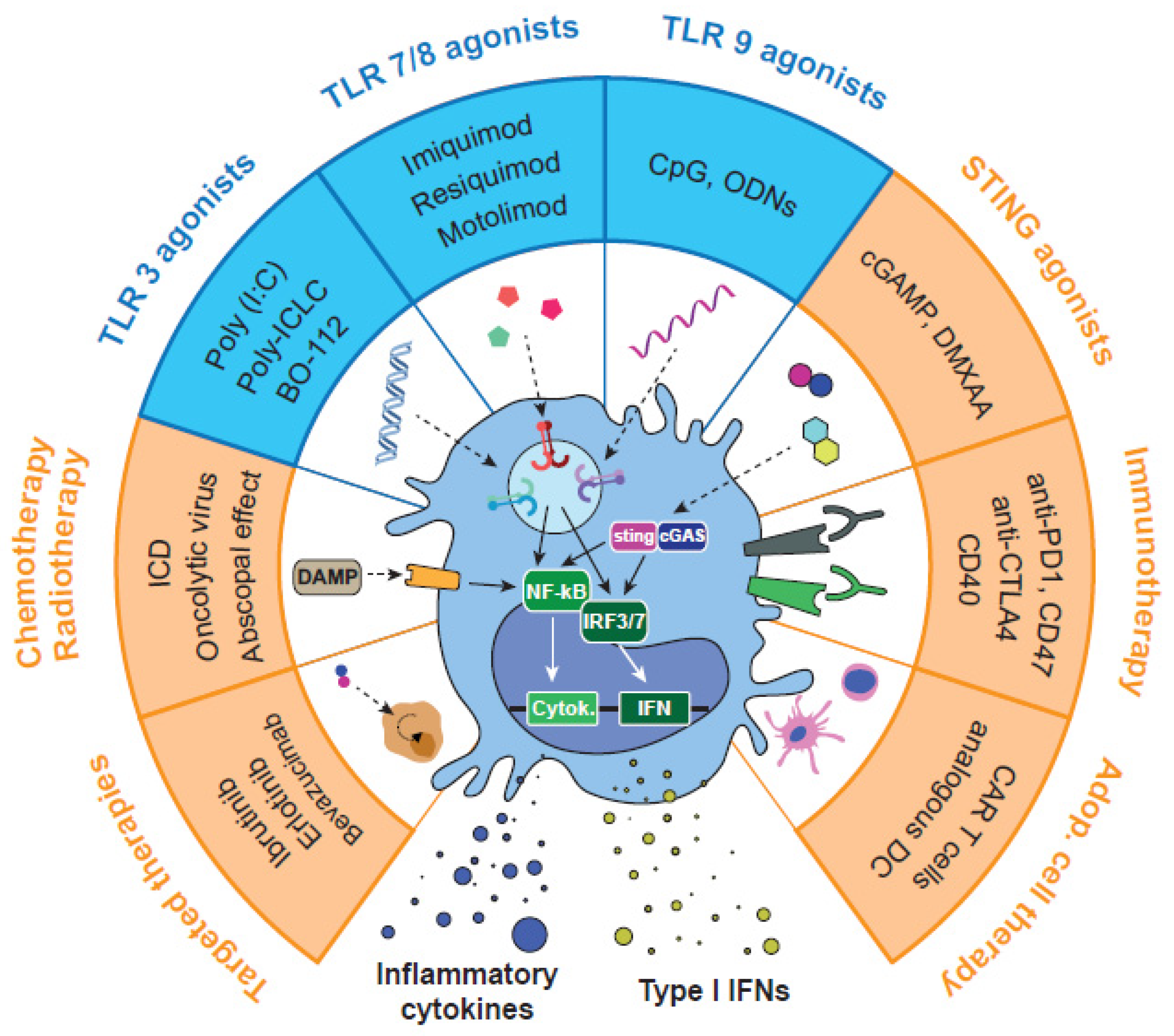 Biomedicines 10 01590 g003 Biomedicines 10 01590 g003